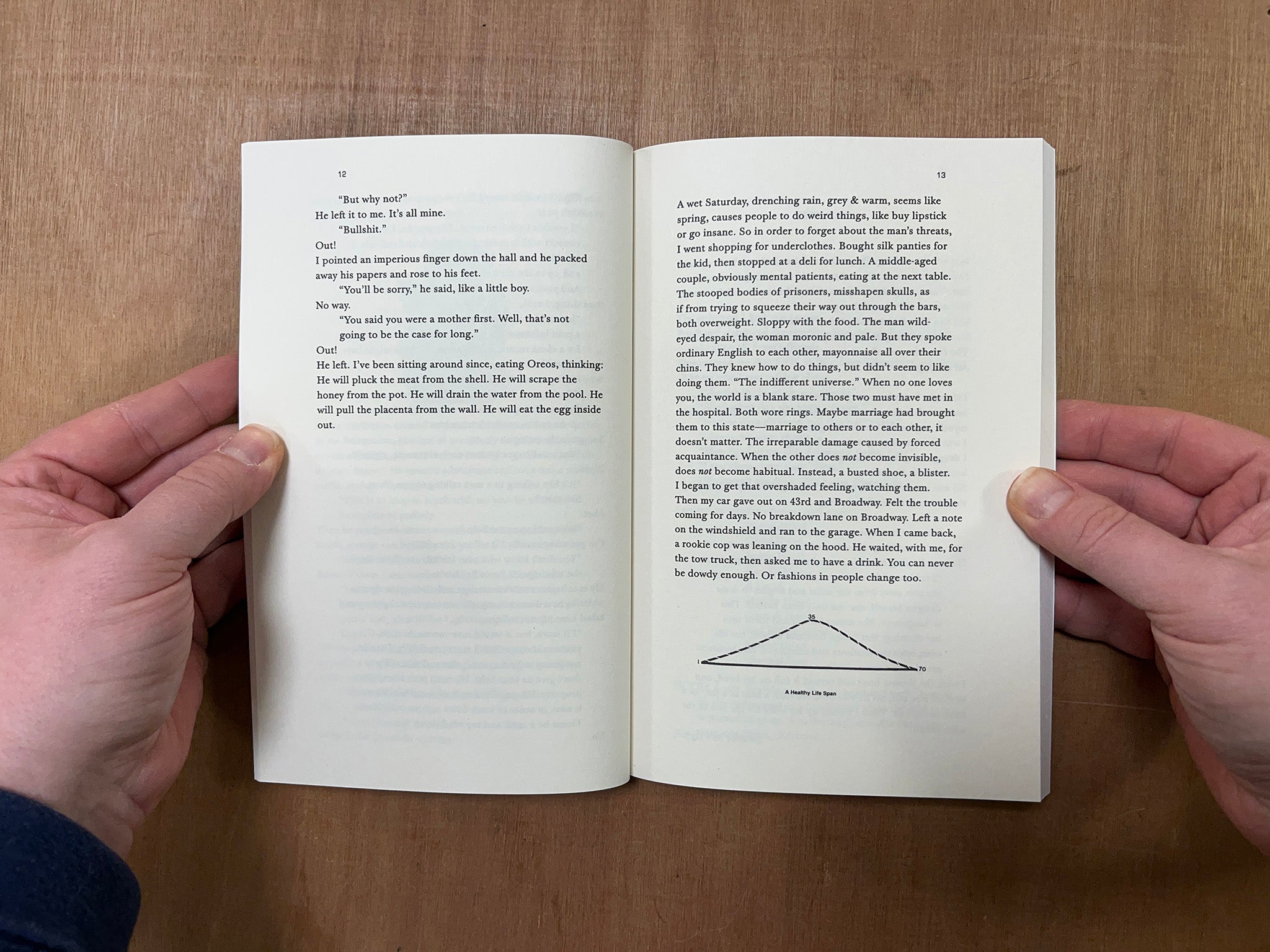 HOLY SMOKE by Fanny Howe