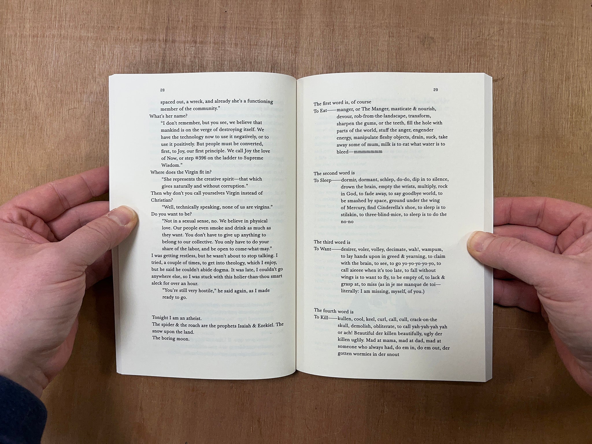 HOLY SMOKE by Fanny Howe