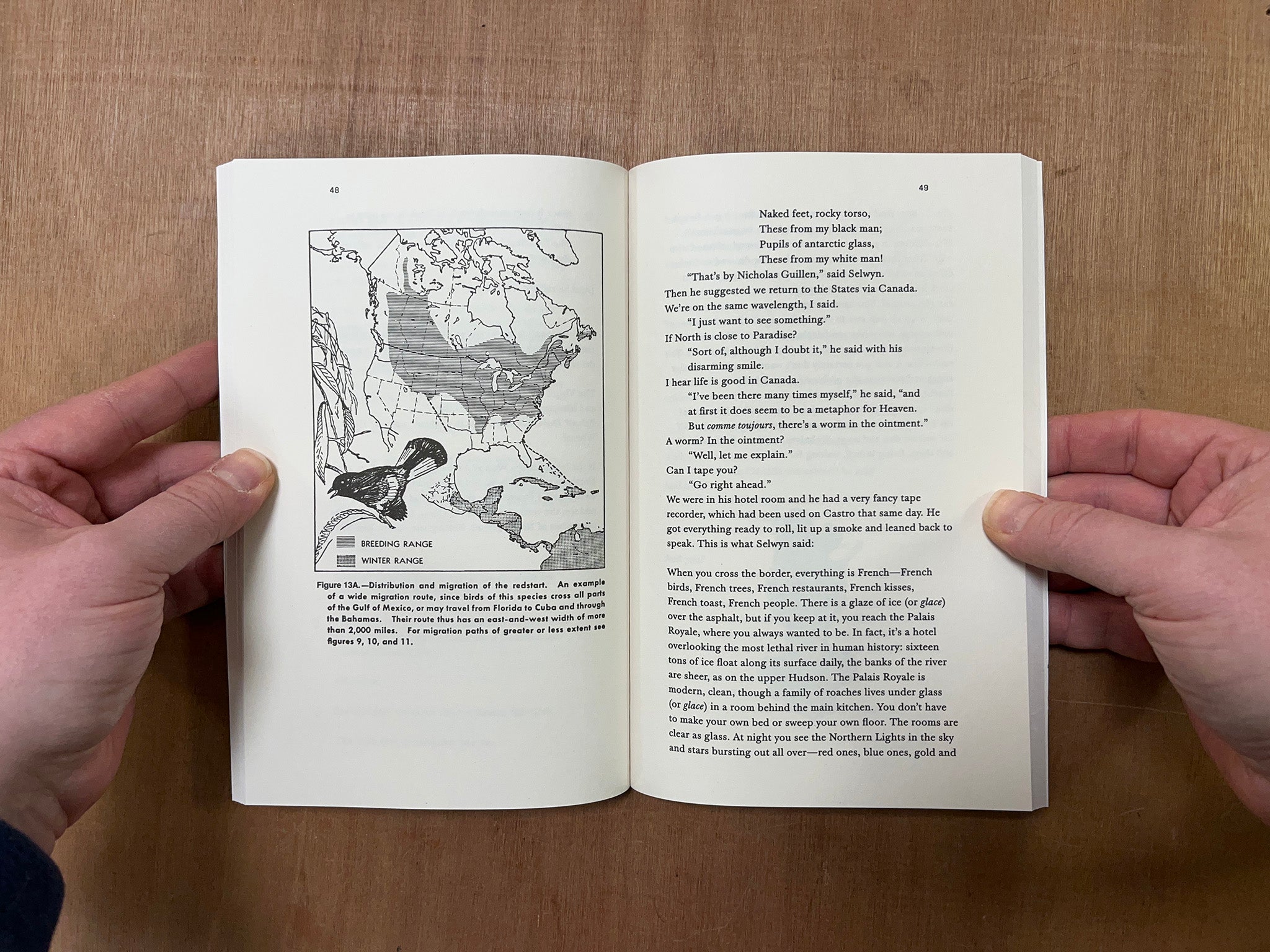 HOLY SMOKE by Fanny Howe