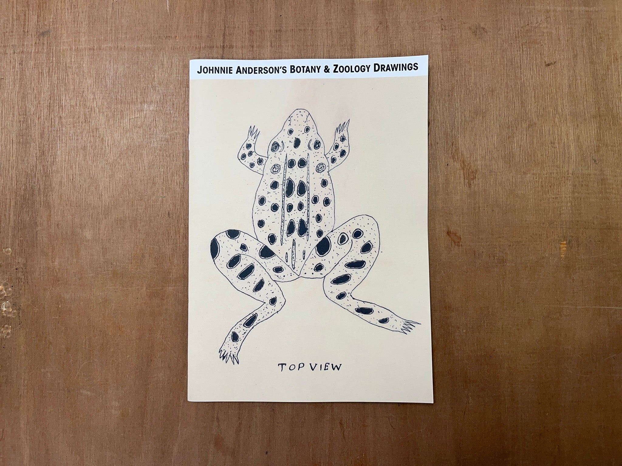 JOHNNIE ANDERSON'S BOTANY & ZOOLOGY DRAWINGS
