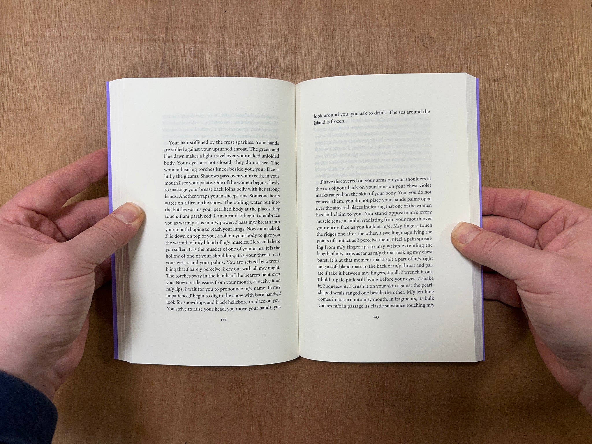 THE LESBIAN BODY by Monique Wittig