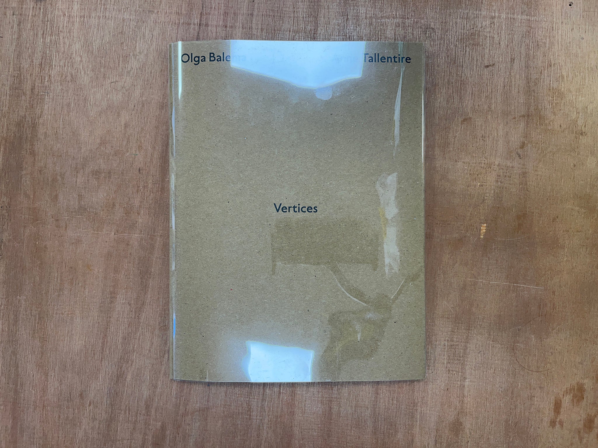 VERTICES by Olga Balema and Anne Tallentire / Mark O'Gorman