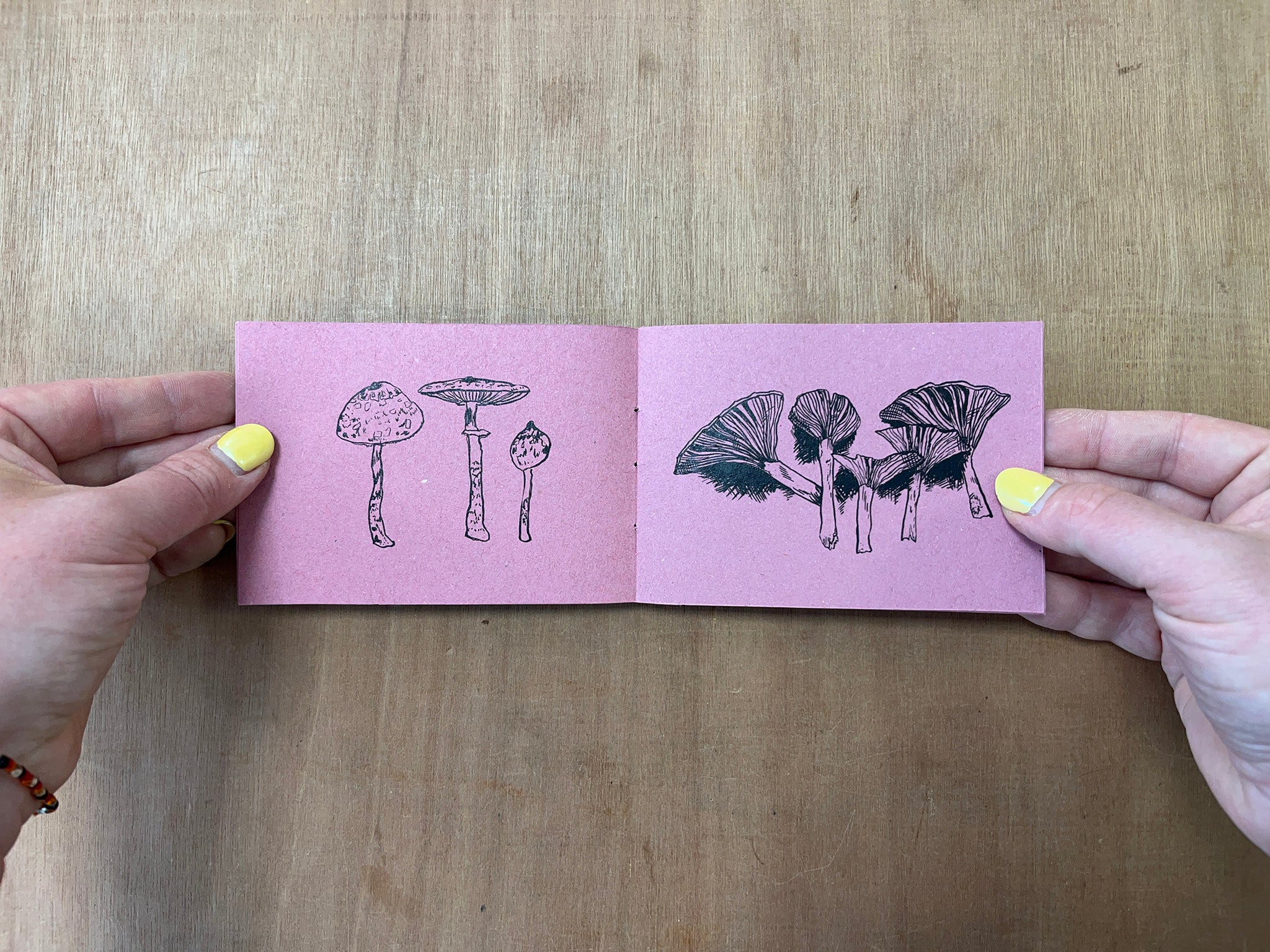 A COLLECTION OF MUSHROOM DRAWINGS by Kat Rose