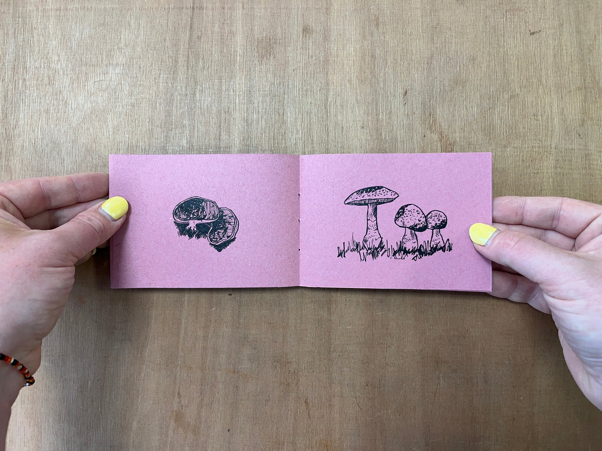 A COLLECTION OF MUSHROOM DRAWINGS by Kat Rose
