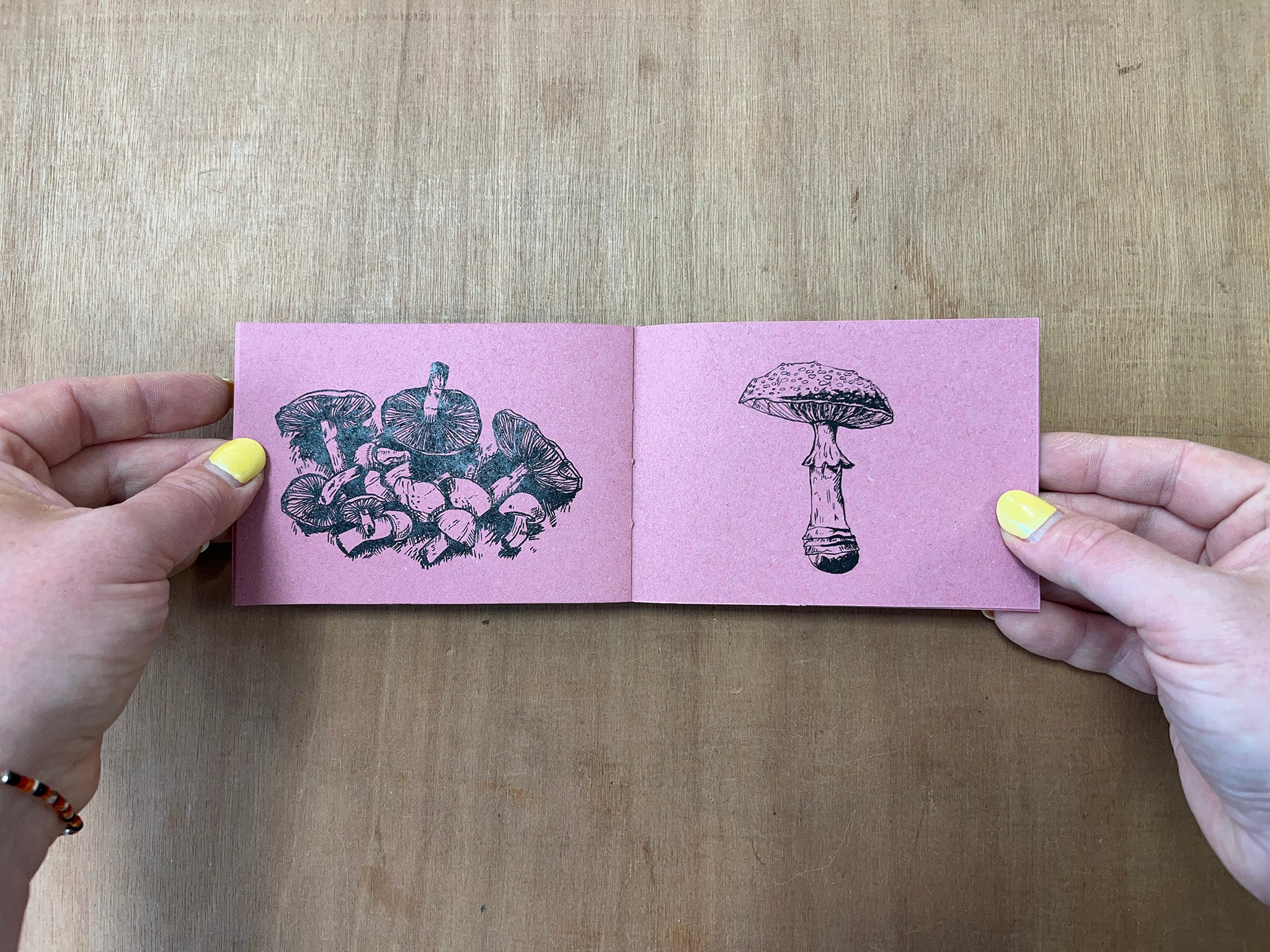 A COLLECTION OF MUSHROOM DRAWINGS by Kat Rose