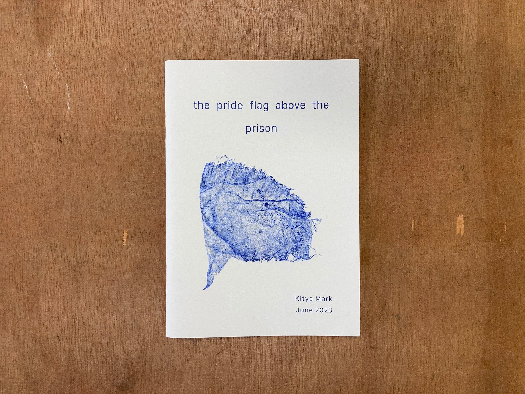 THE PRIDE FLAG ABOVE THE PRISON by Kitya Mark