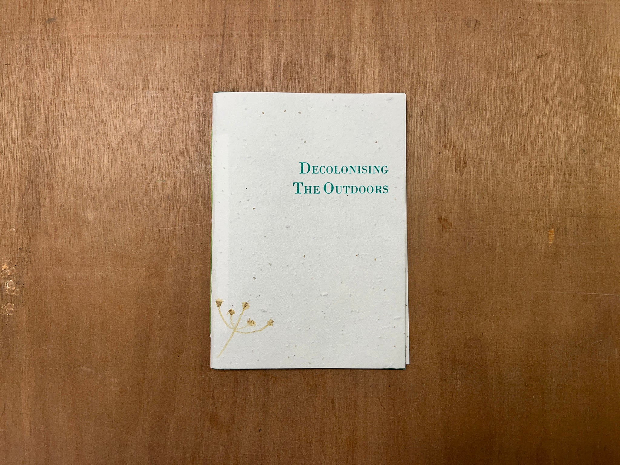DECOLONISING THE OUTDOORS by Aileen Angsutorn Lees