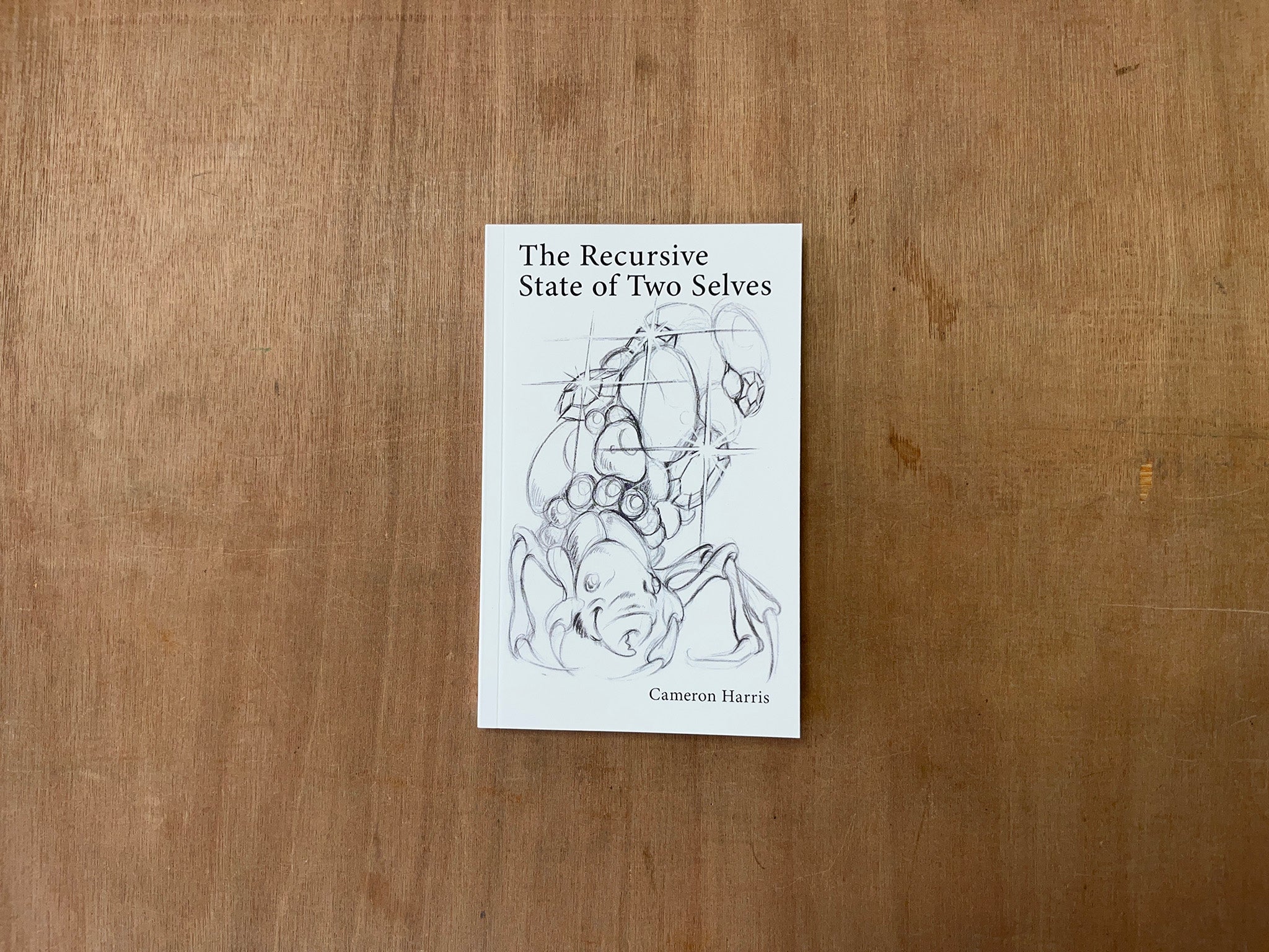 THE RECURSIVE STATE OF TWO SELVES by Cameron Harris