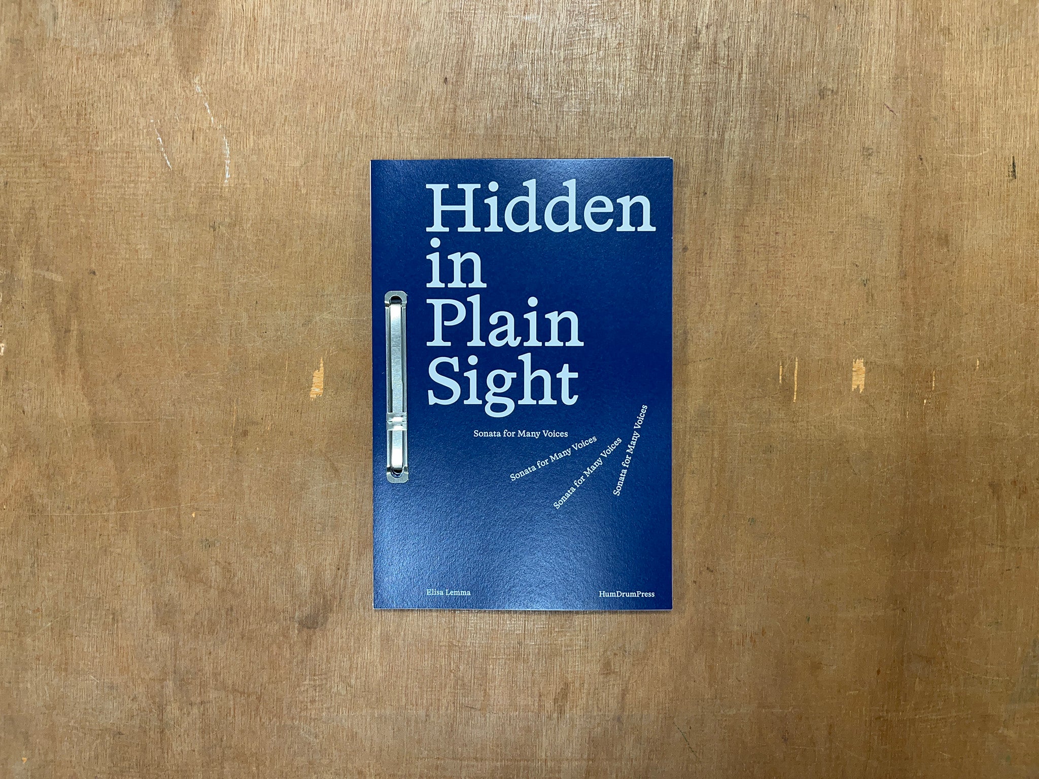 HIDDEN IN PLAIN SIGHT by Elisa Lemma