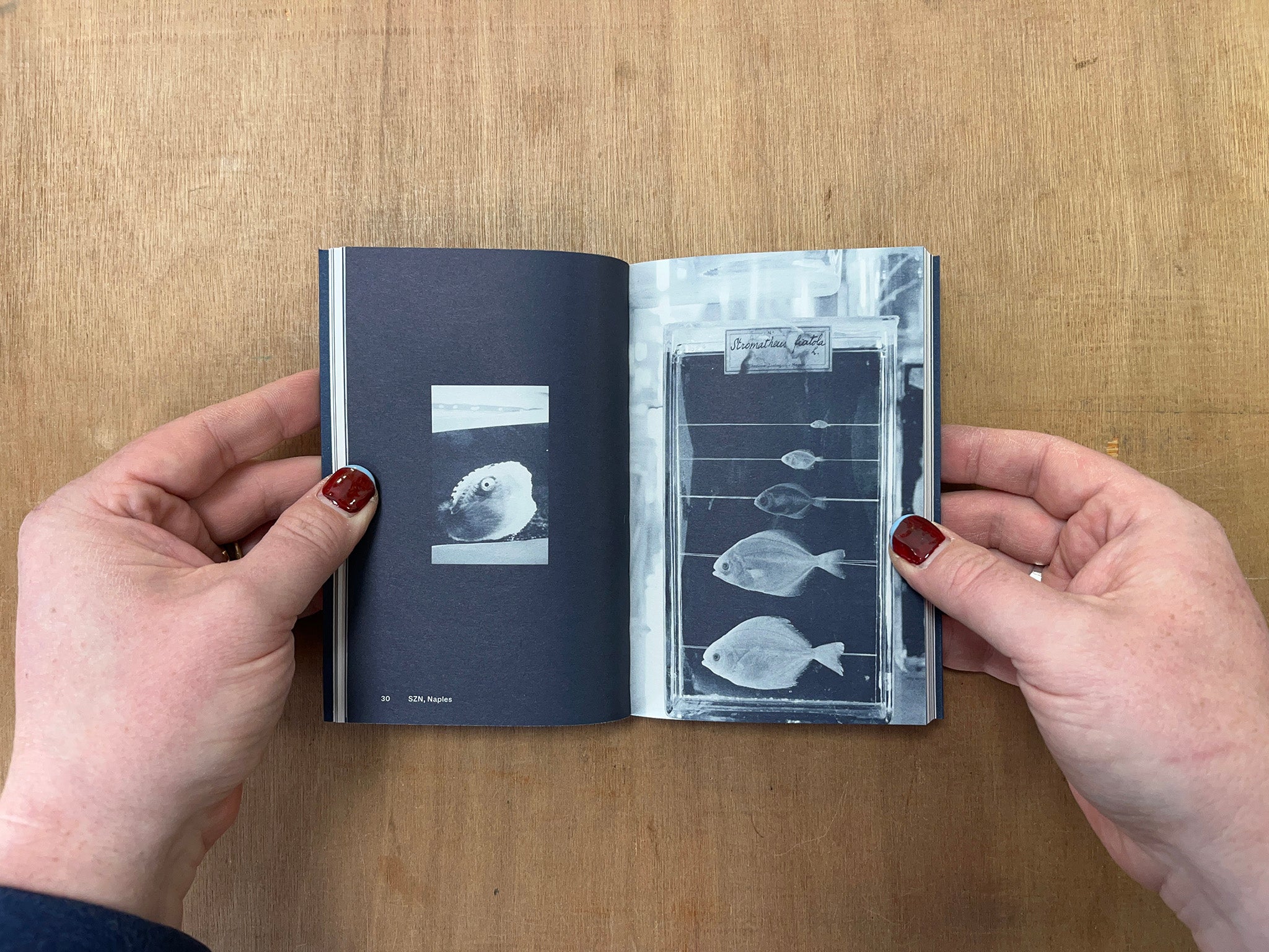 THE AQUARIUM IS A LISTENING GLASS by Louise E. Carver & Angela Rui (Eds.)