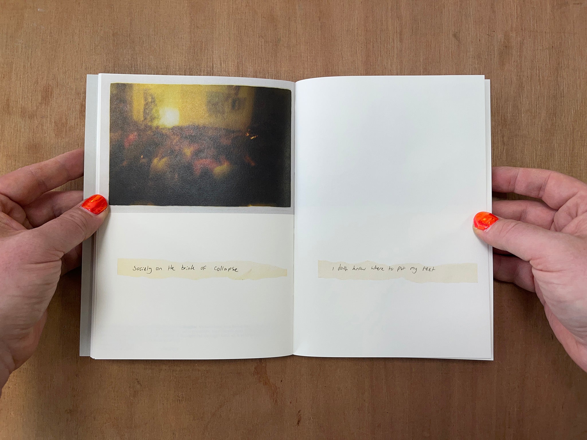 SHAPESHIFTING by evan purdy & molly maltman