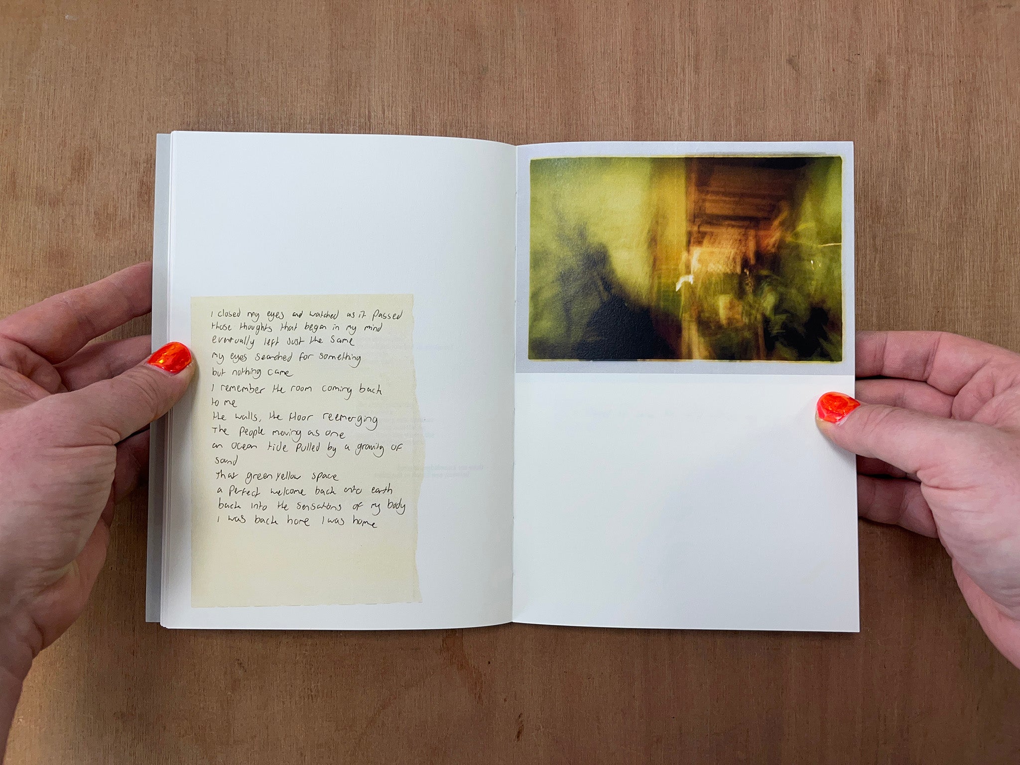 SHAPESHIFTING by evan purdy & molly maltman