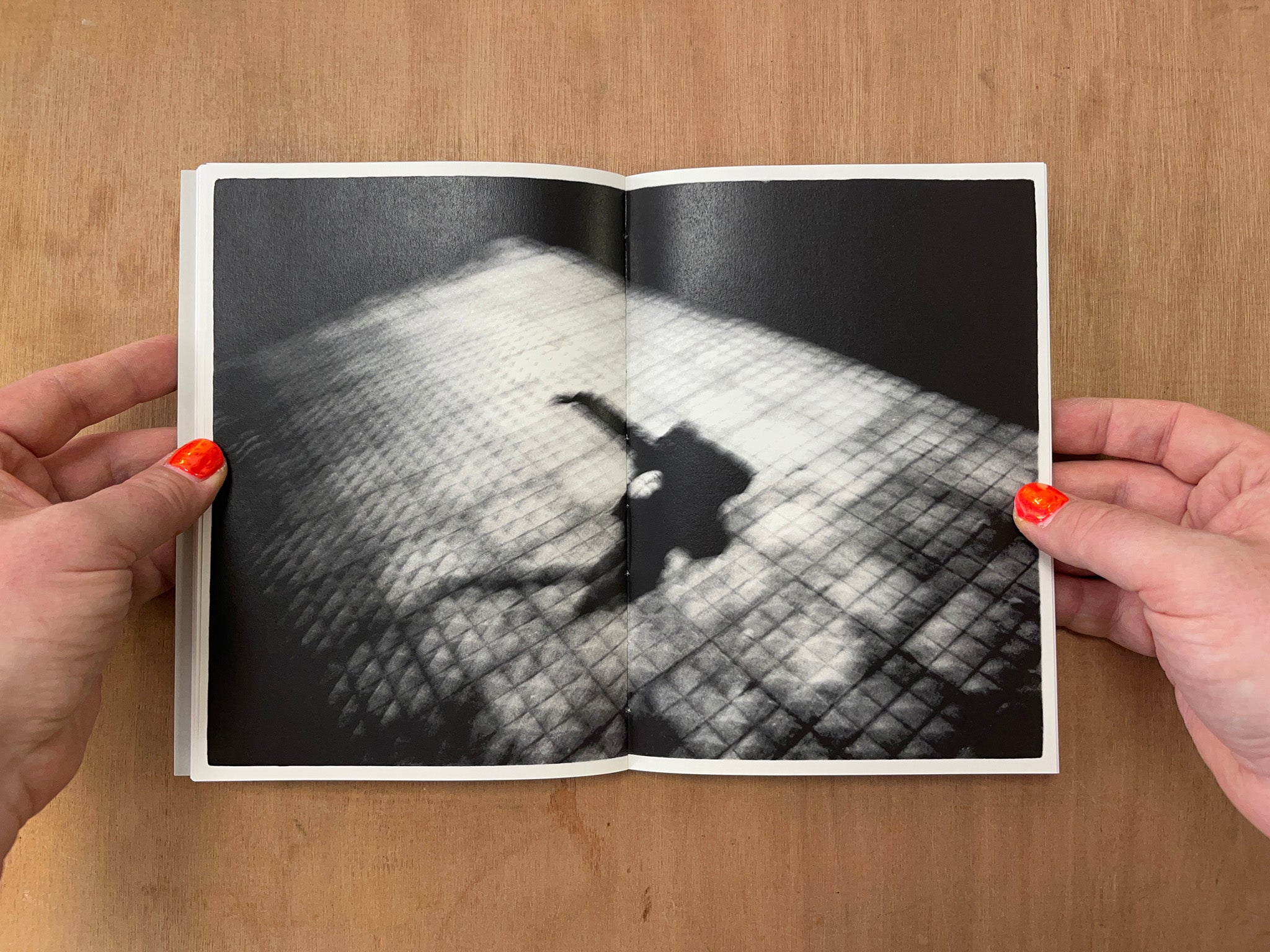 SHAPESHIFTING by evan purdy & molly maltman