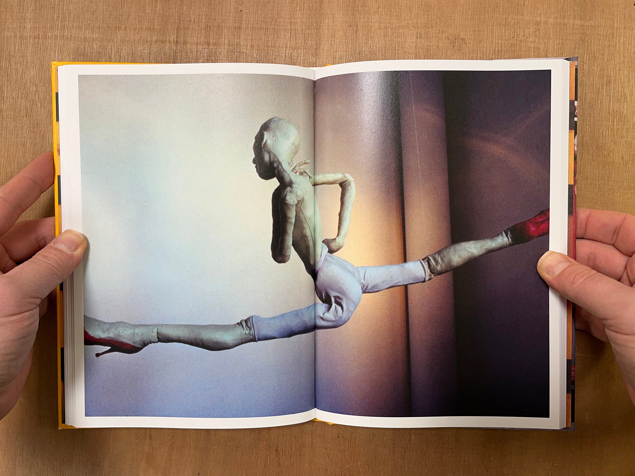 GREER LANKTON: COULD IT BE LOVE