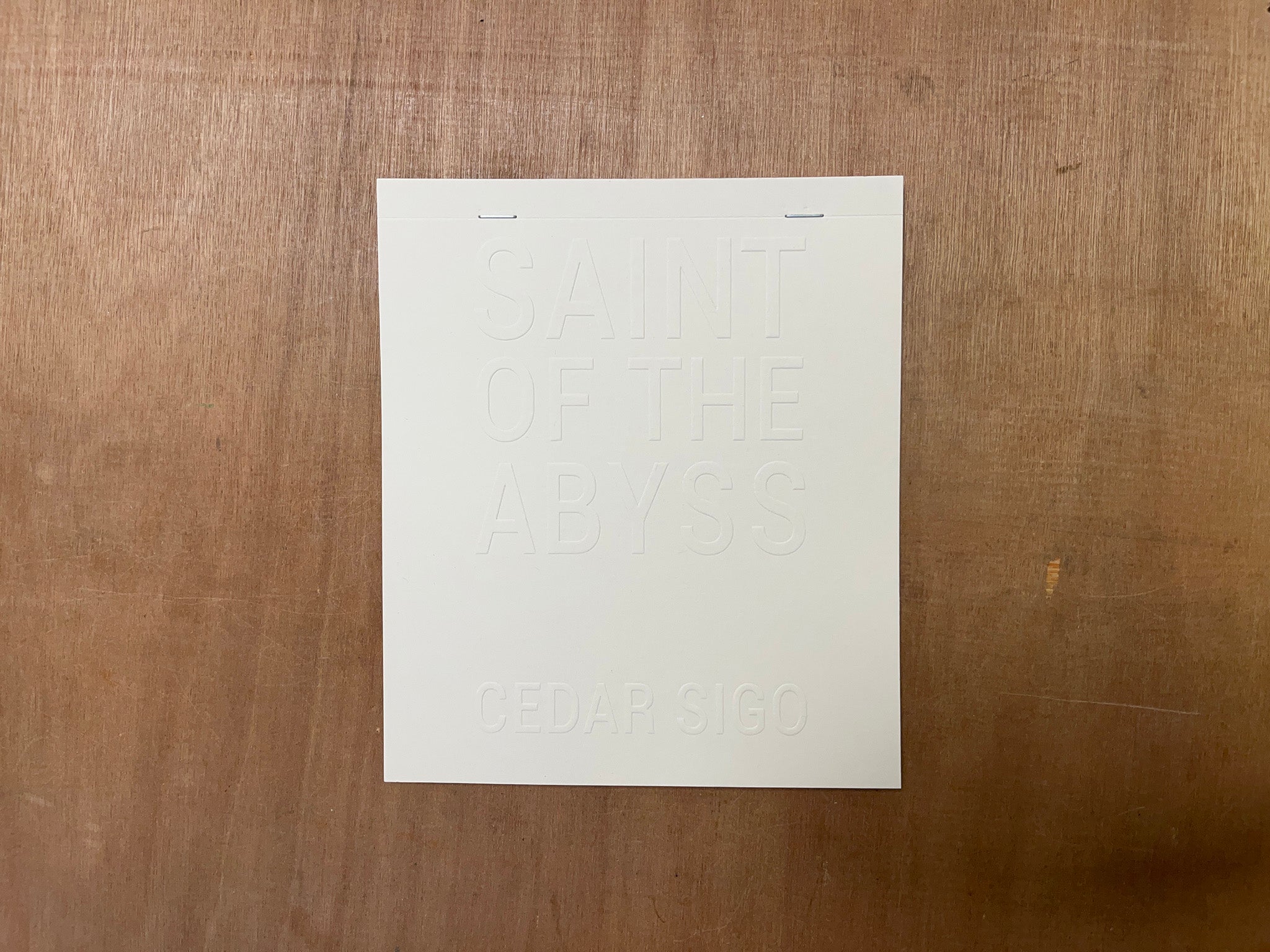 SAINT OF THE ABYSS by Cedar Sigo