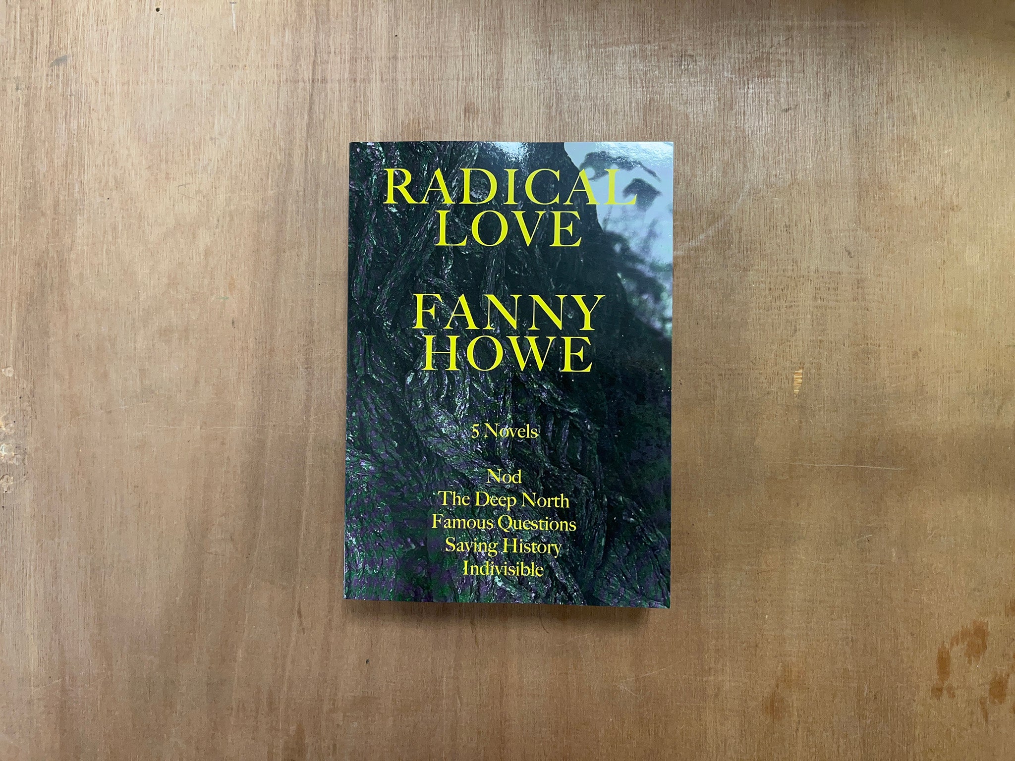 RADICAL LOVE: FIVE NOVELS by Fanny Howe