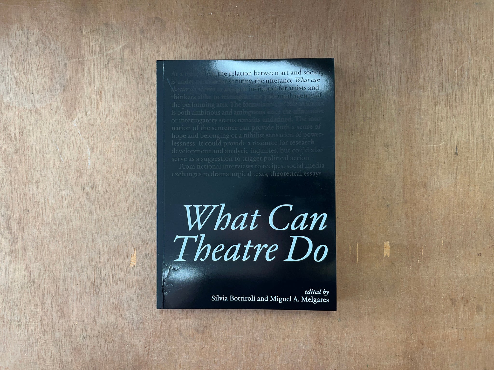 WHAT CAN THEATRE DO Edited by Silvia Bottiroli & Miguel A. Melgares