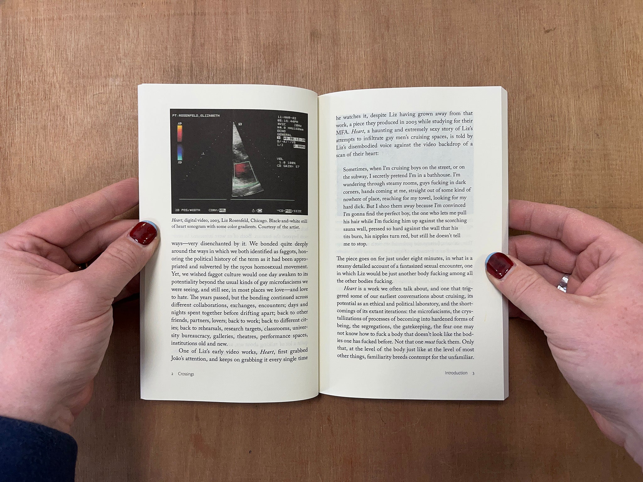 CROSSINGS: CREATIVE ECOLOGIES OF CRUISING by Joao Florencio, Liz Rosenfeld & Grace Lavery