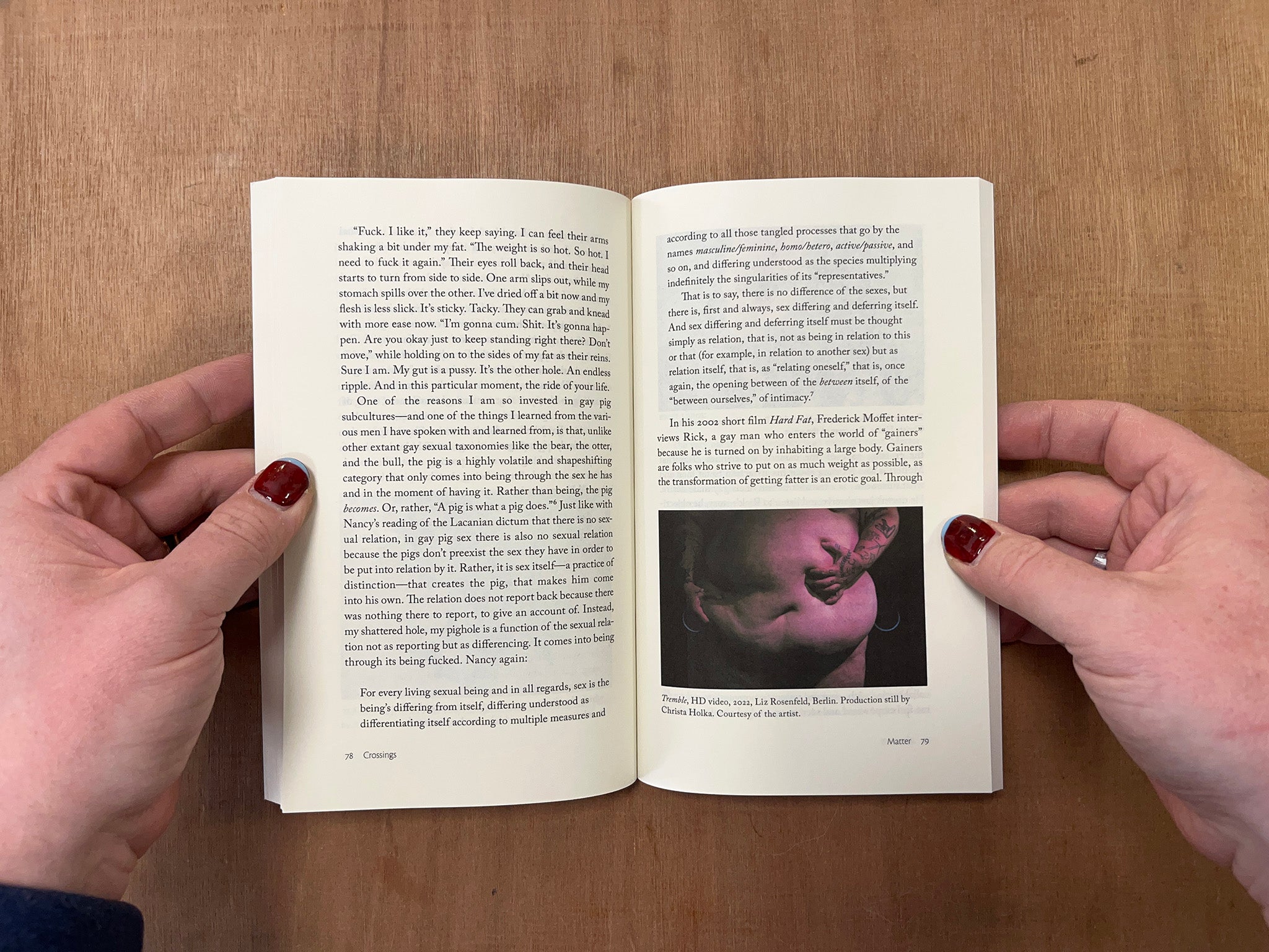 CROSSINGS: CREATIVE ECOLOGIES OF CRUISING by Joao Florencio, Liz Rosenfeld & Grace Lavery