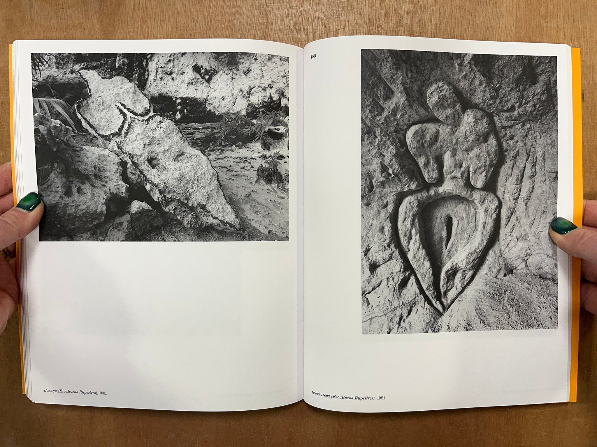 SEARCH FOR ORIGIN by Ana Mendieta