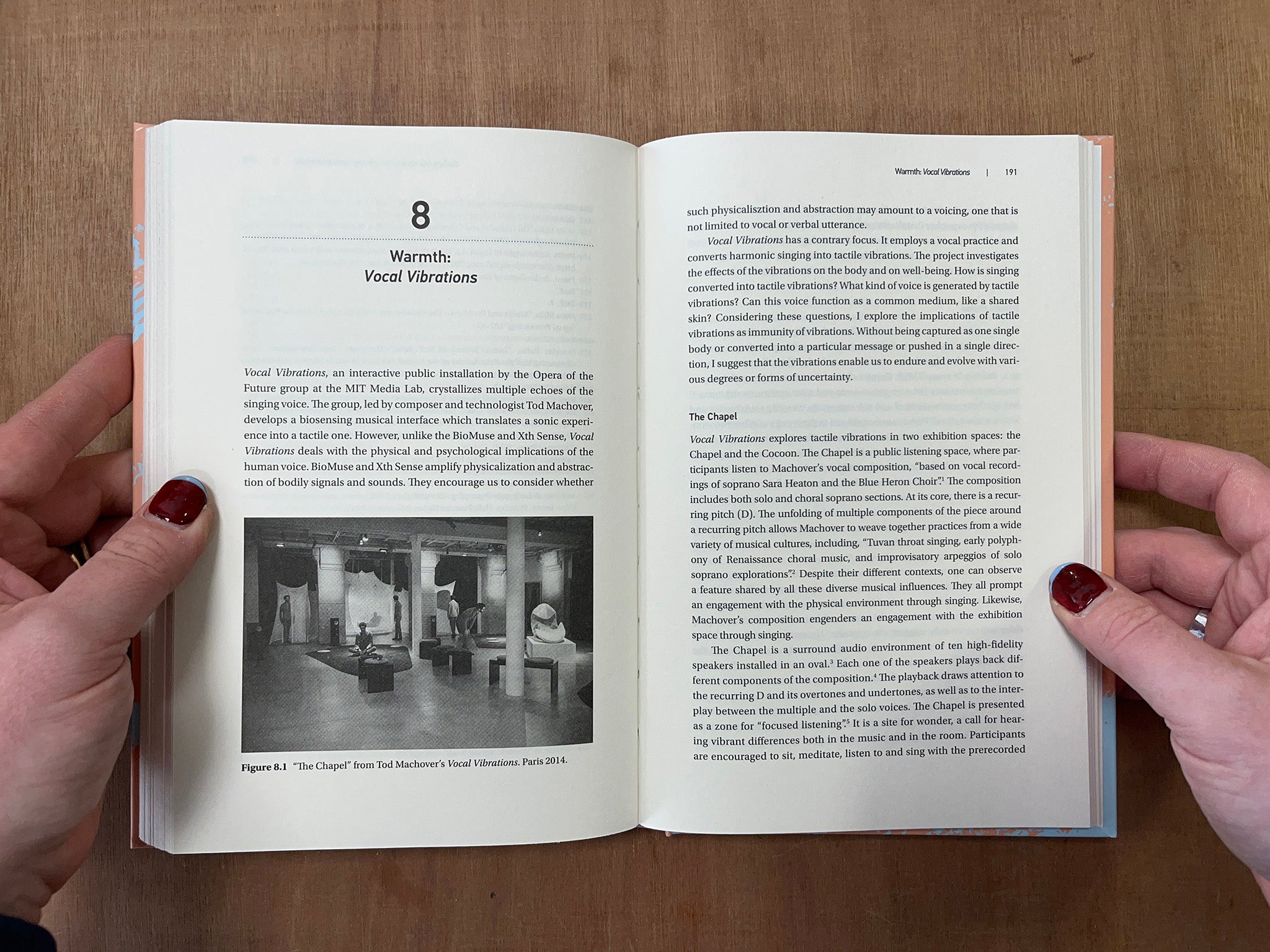 BUILDING A VOICE: SOUND, SURFACE, SKIN by Zeynep Bulut