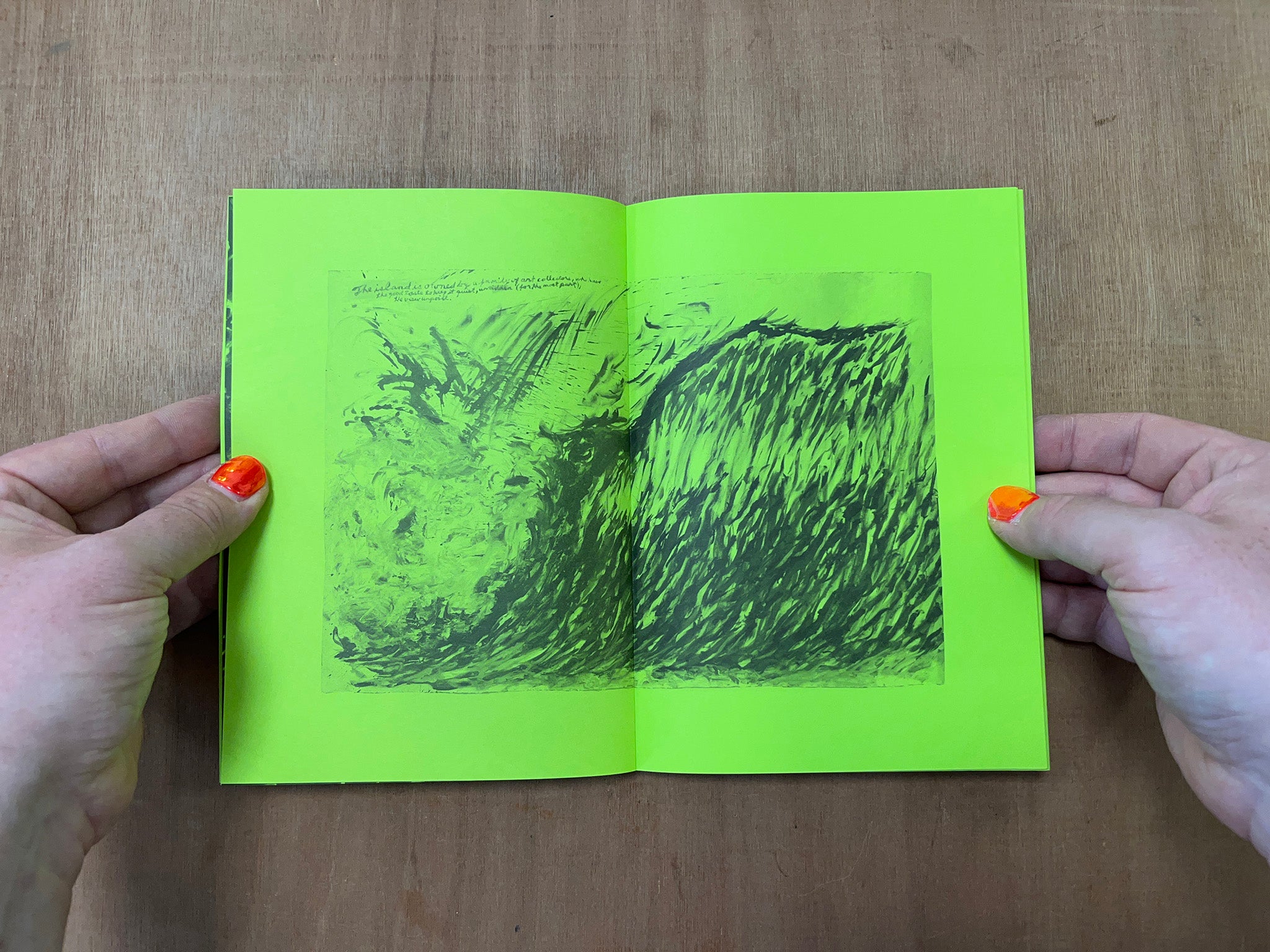 SELECTED WORKS FROM 1982 TO 2011 by Raymond Pettibon
