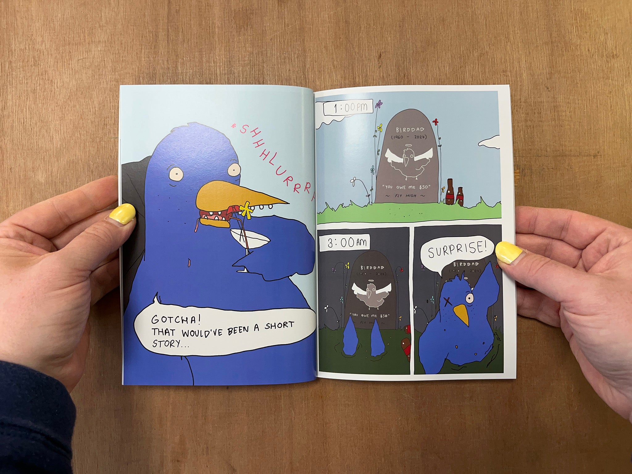 BIRDDAD by Emily Brooks Millar