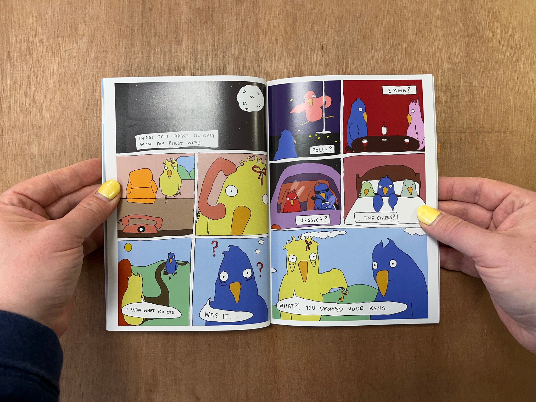 BIRDDAD by Emily Brooks Millar