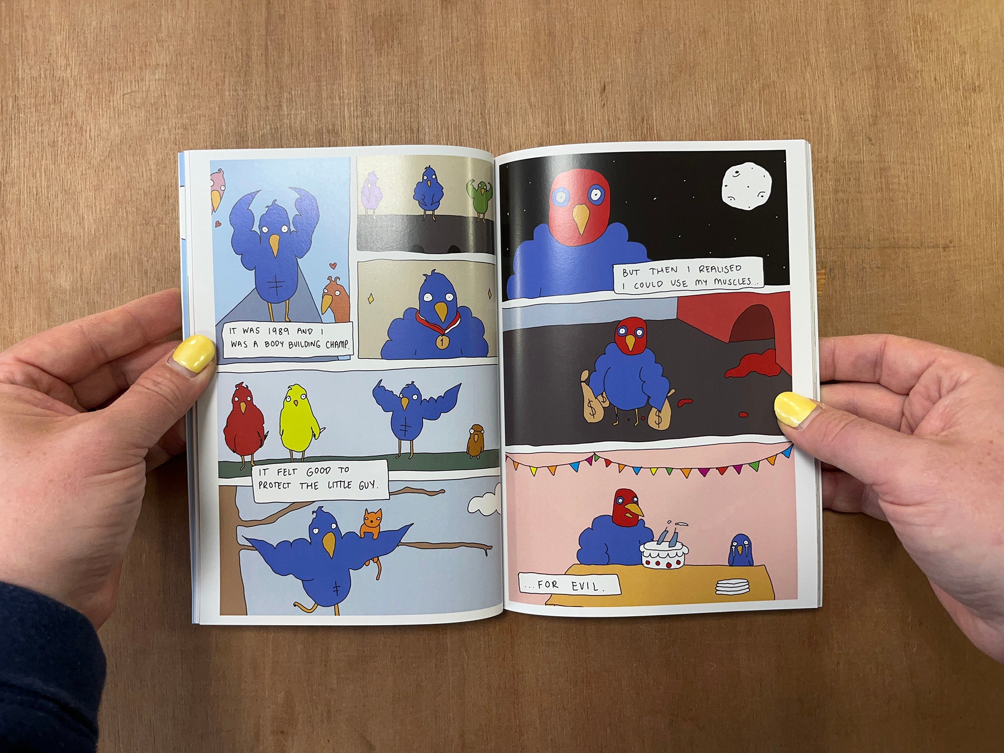 BIRDDAD by Emily Brooks Millar