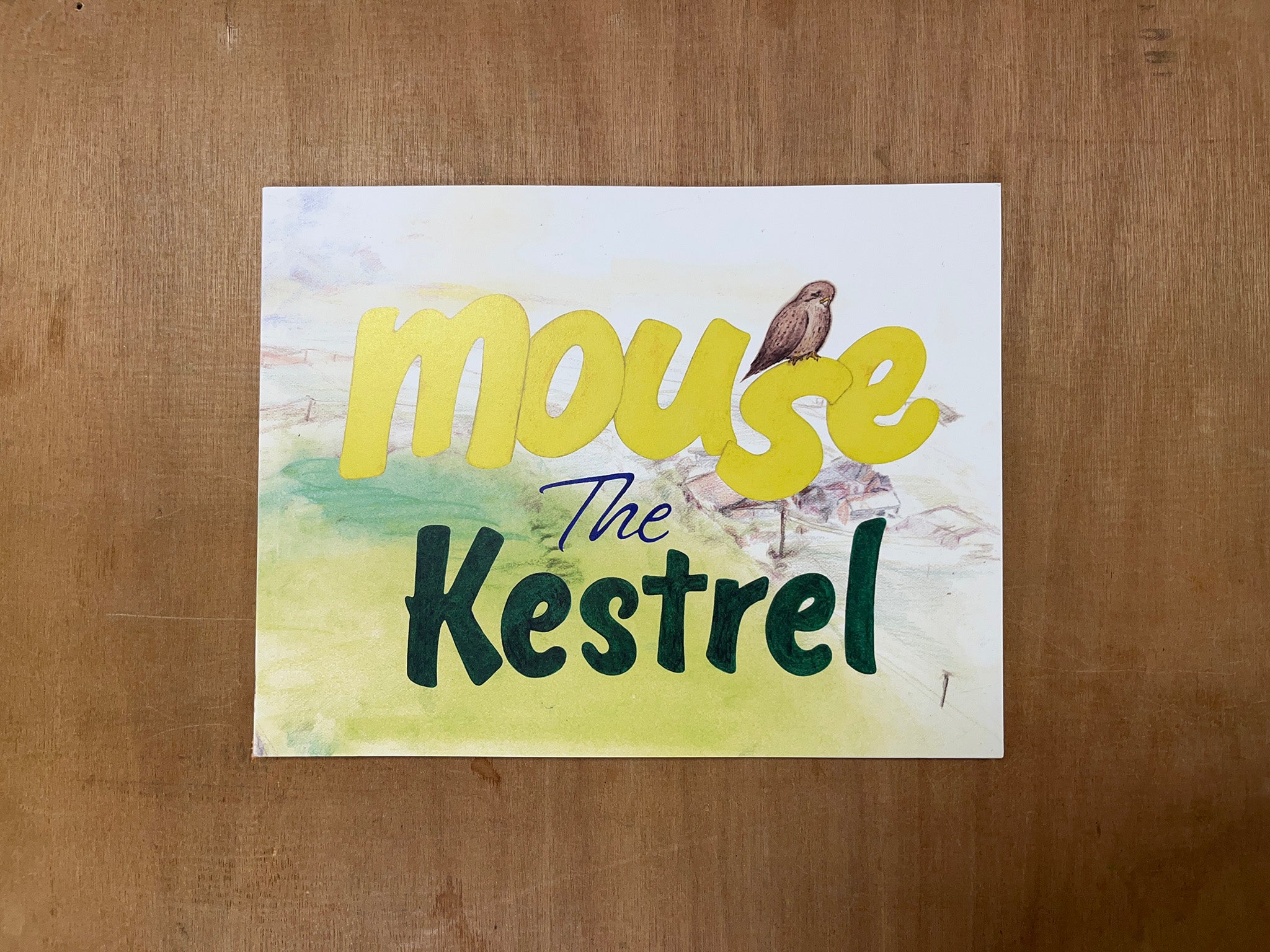 MOUSE THE KESTREL by Kirsten Shanks