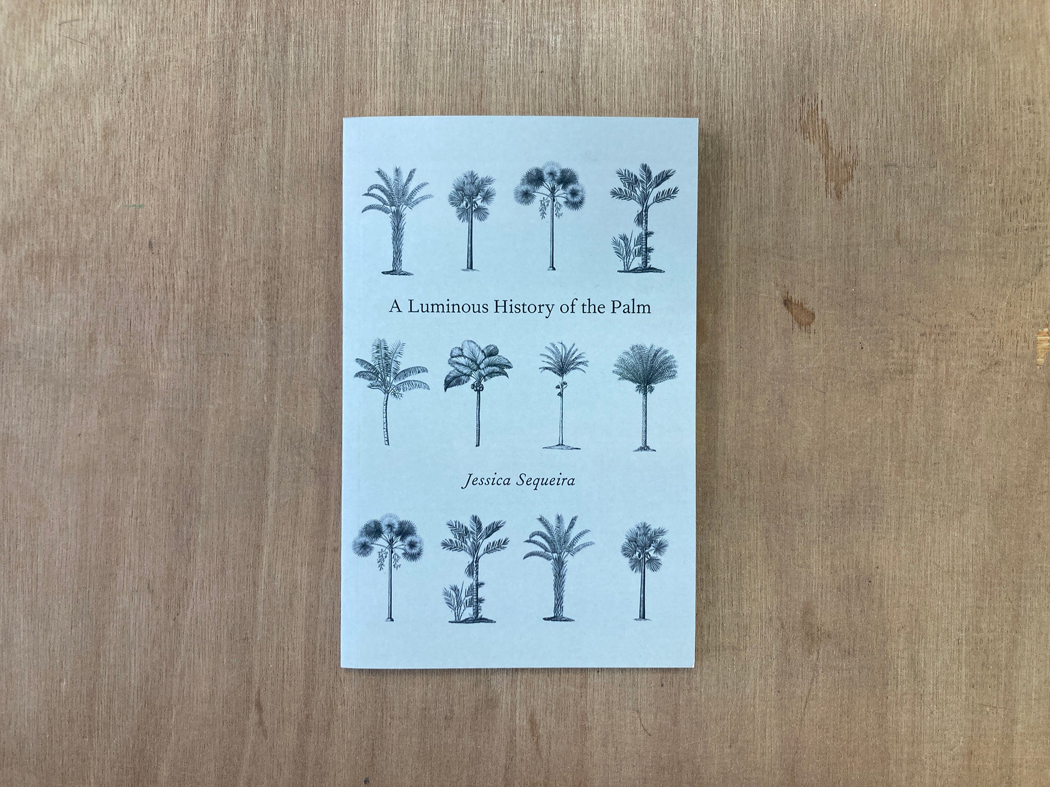 A LUMINOUS HISTORY OF THE PALM by Jessica Sequeira