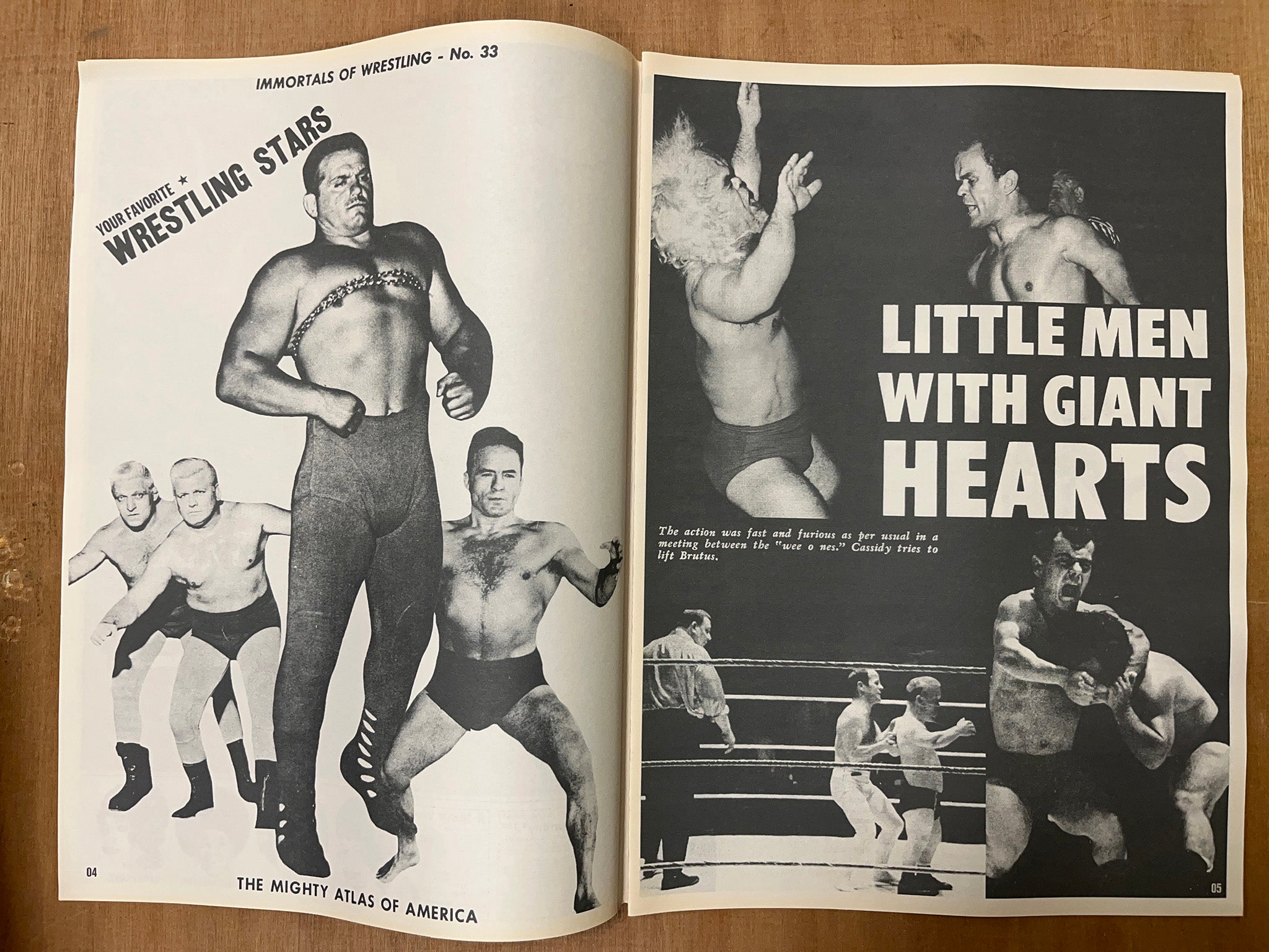WRESTLING REVUE by Paul Bareham