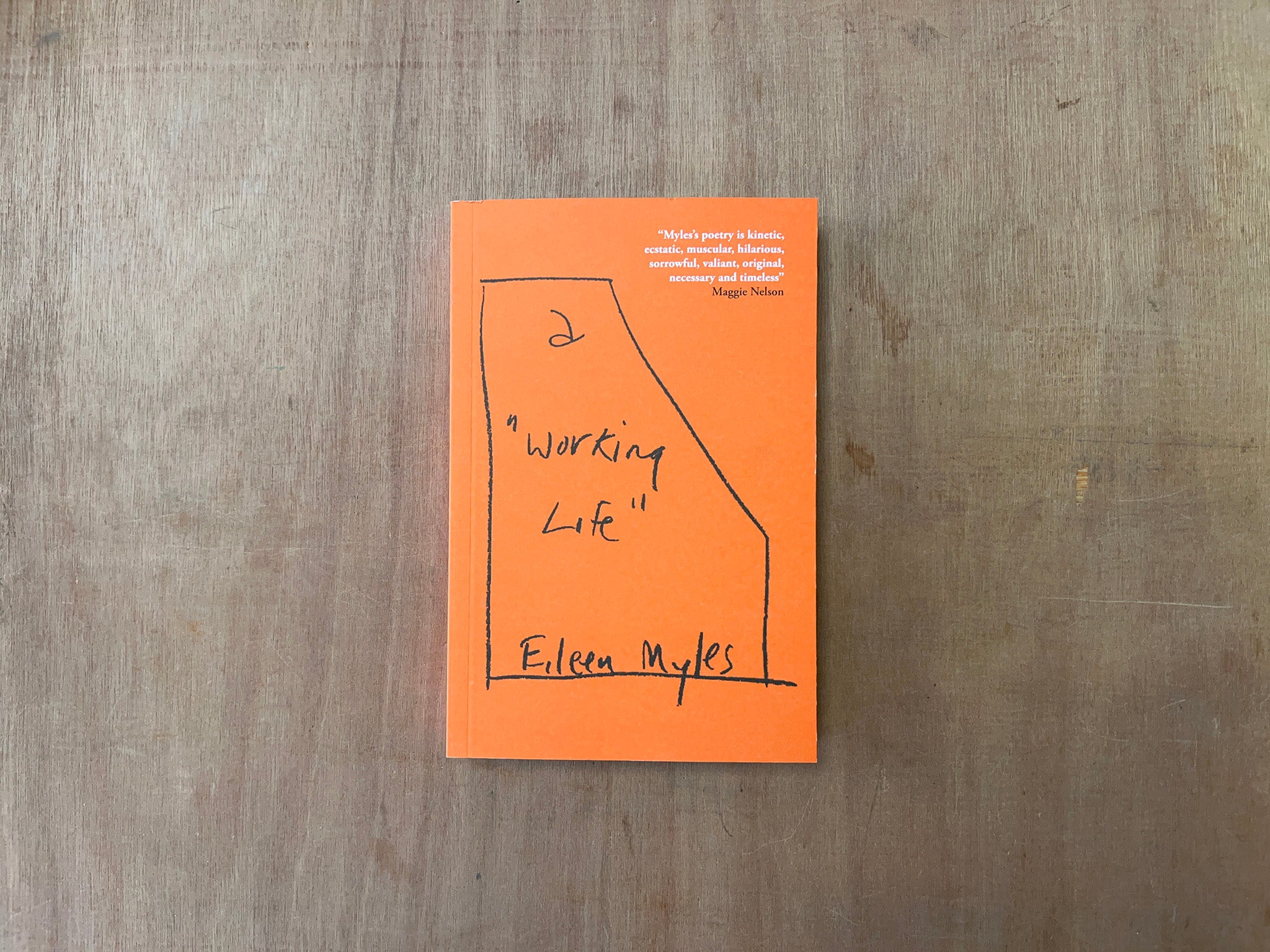 A “WORKING LIFE” by Eileen Myles