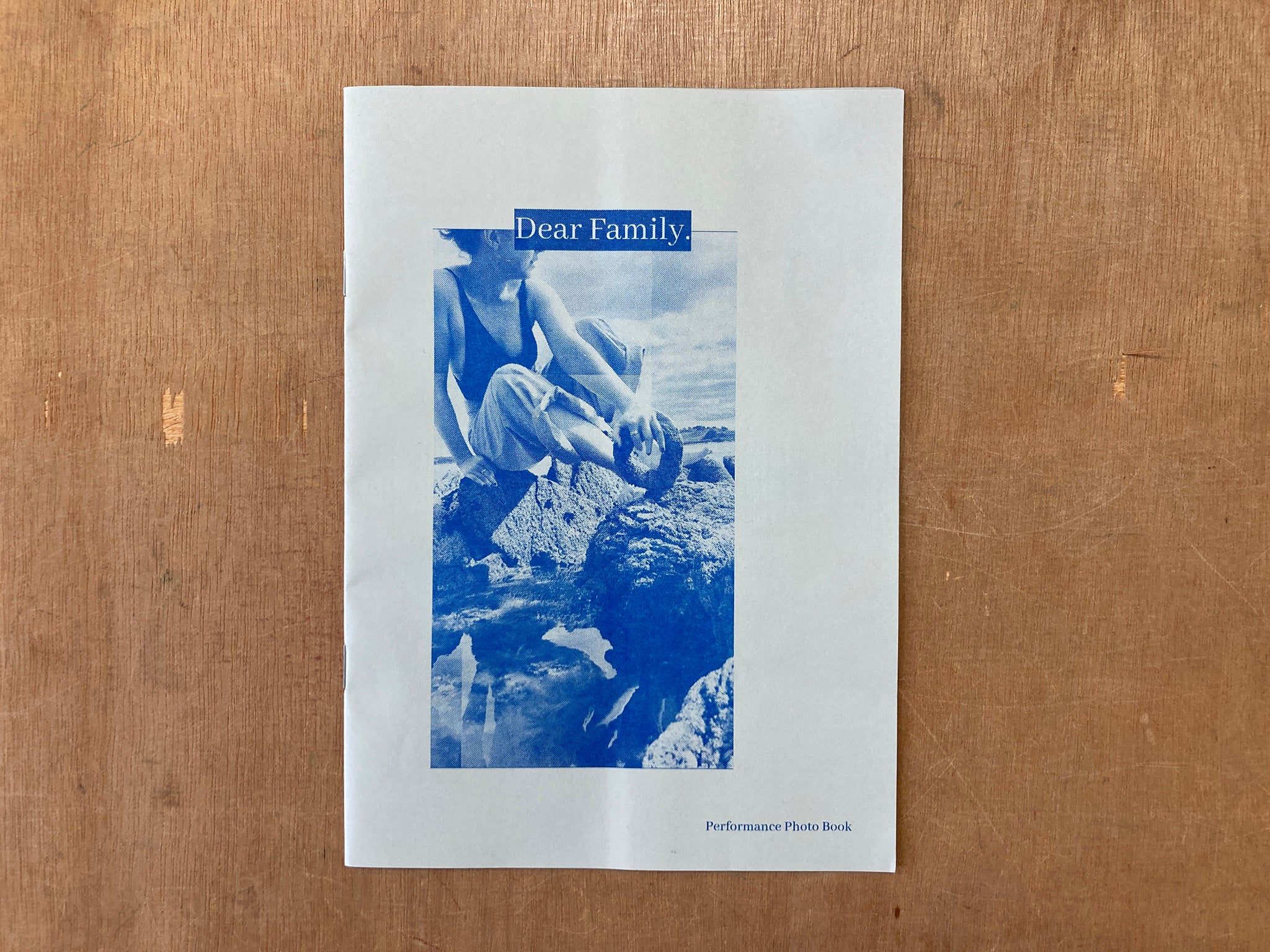 DEAR FAMILY by Elspeth Walker – Good Press — good books & more