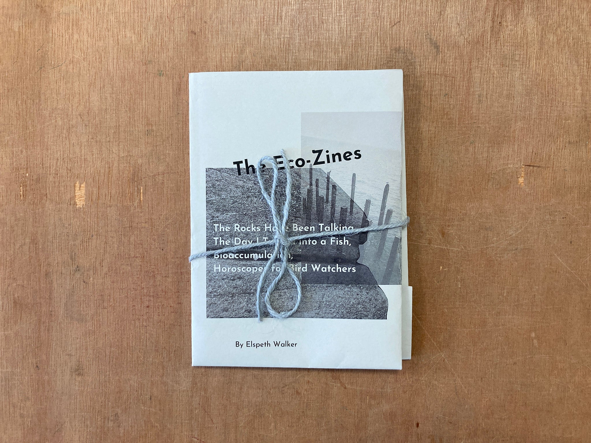 THE ECO-ZINES by Elspeth Walker and Andrew Brown