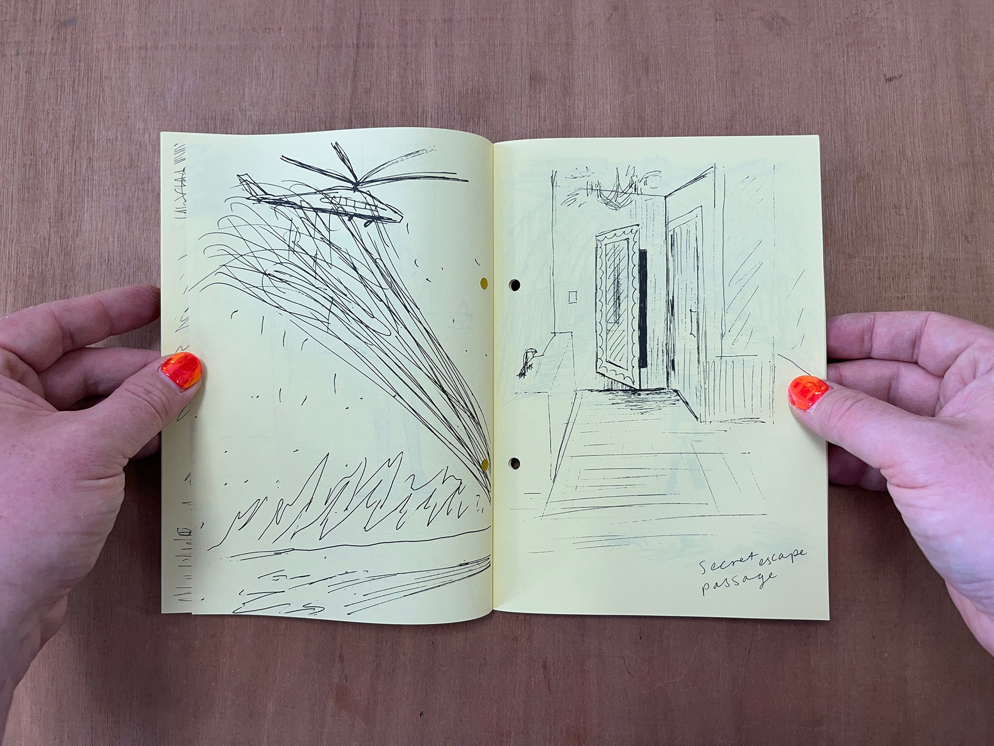 MIRROR VAULT SECRET DOOR by Zoë Taylor
