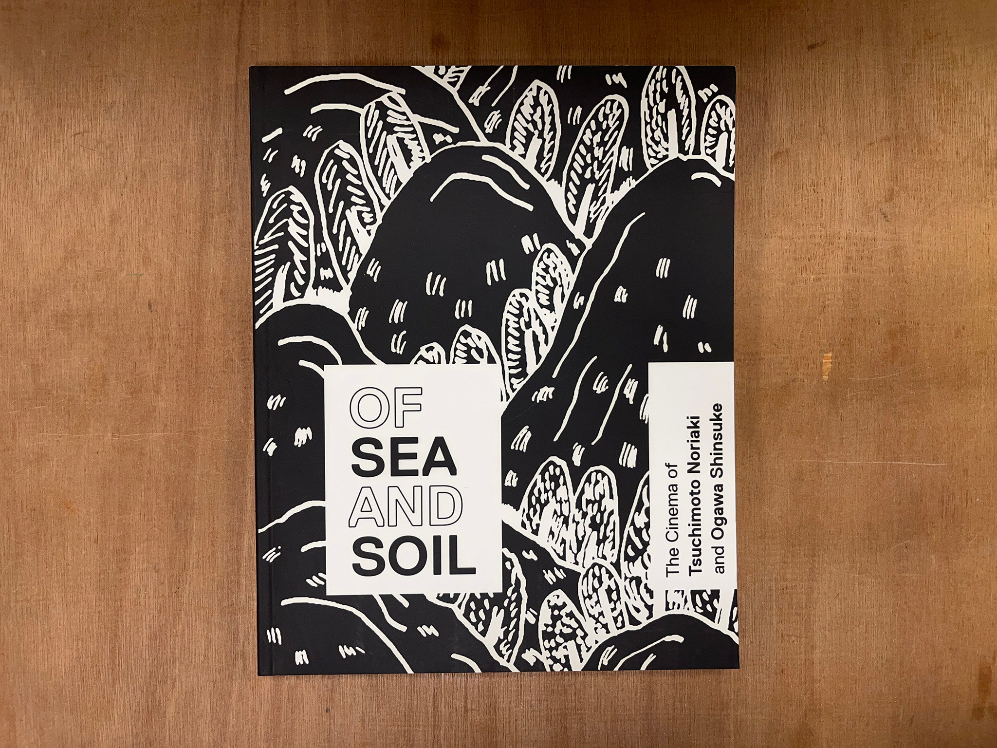 OF SEA AND SOIL: THE CINEMA OF TSUCHIMOTO NORIAKI AND OGAWA SHINSUKE