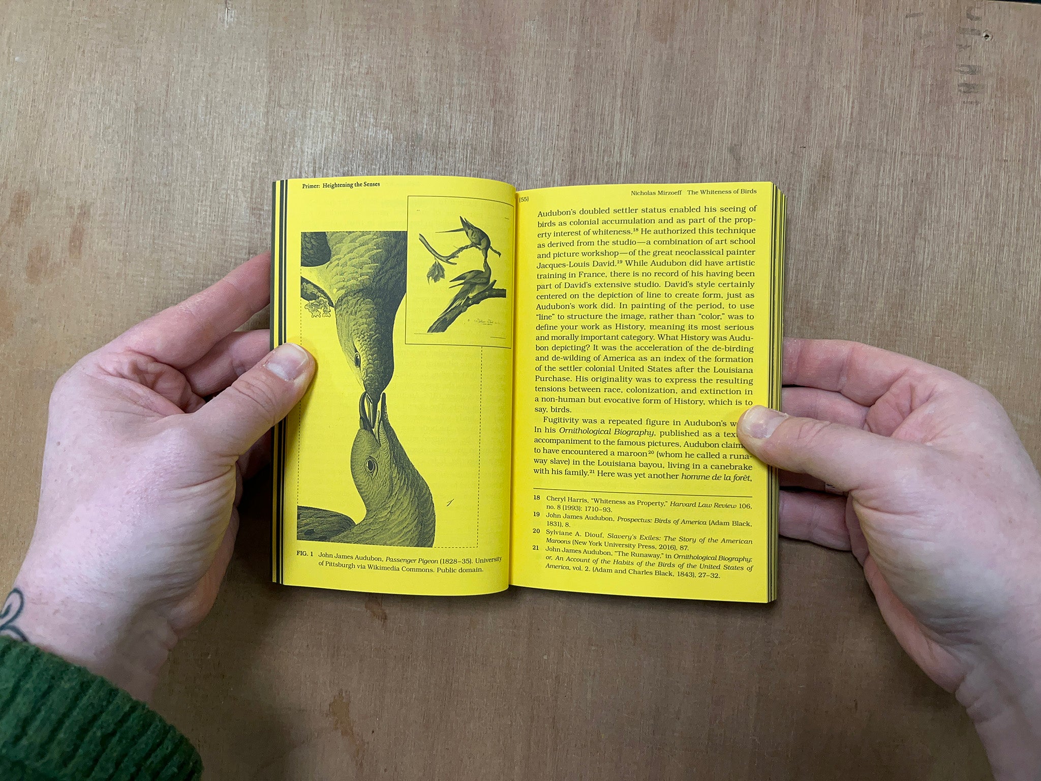 WITH A BIRD, A READER ON AVIAN KINSHIP by Marjolein van der Loo (Ed.)