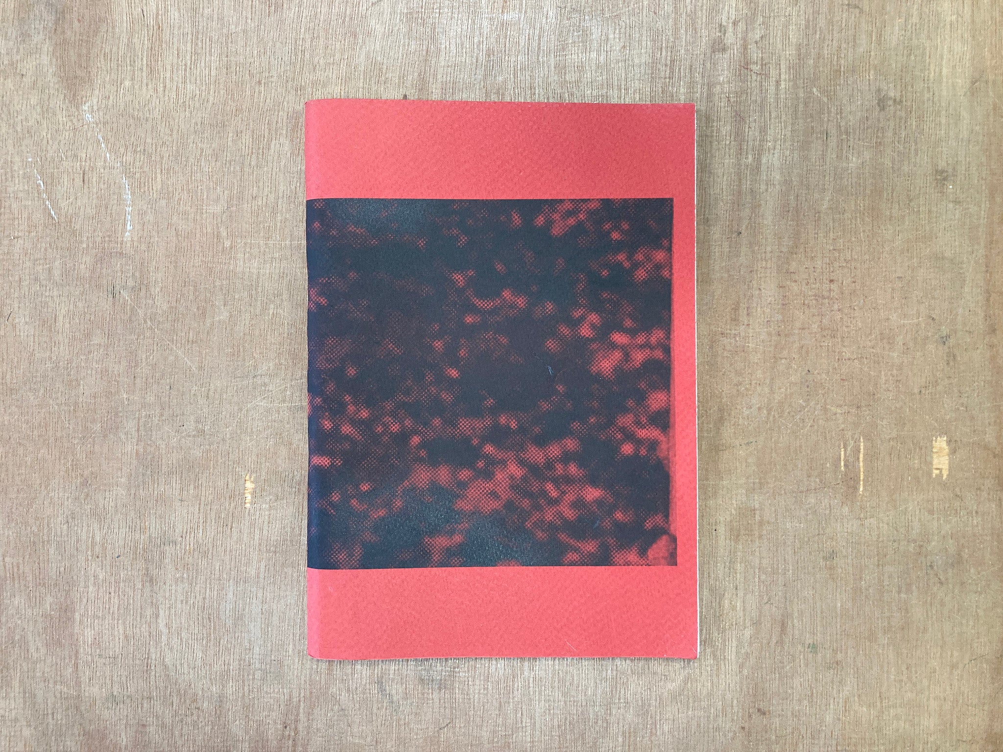 PRISON POETRY MARTYRDOM SAIDA MENEBHI THE MOROCCAN YEARS OF LEAD prison-poetry-martyrdom-saida-menebhi-the-moroccan-years-of-lead