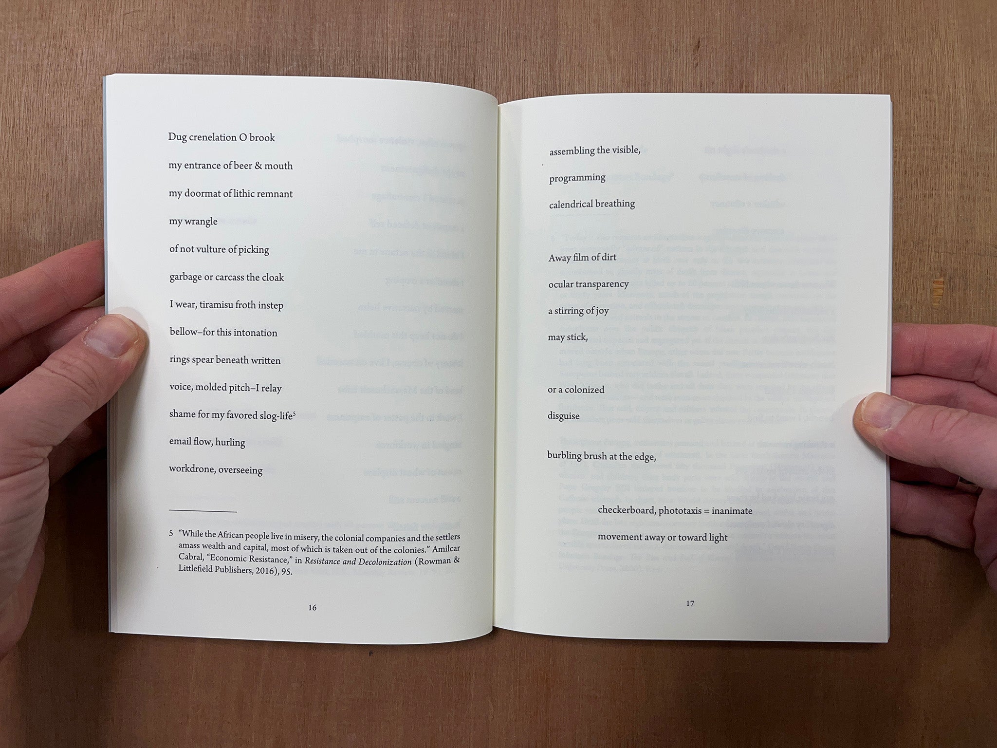 THE OPTOGRAM OF THE MIND IS A CARNATION by Isabel Sobral Campos