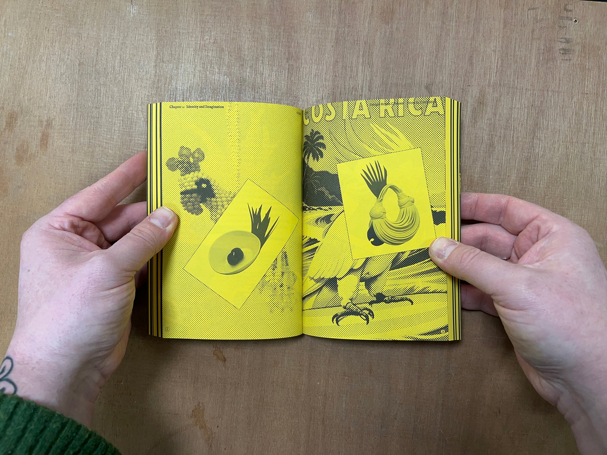 WITH A BIRD, A READER ON AVIAN KINSHIP by Marjolein van der Loo (Ed.)