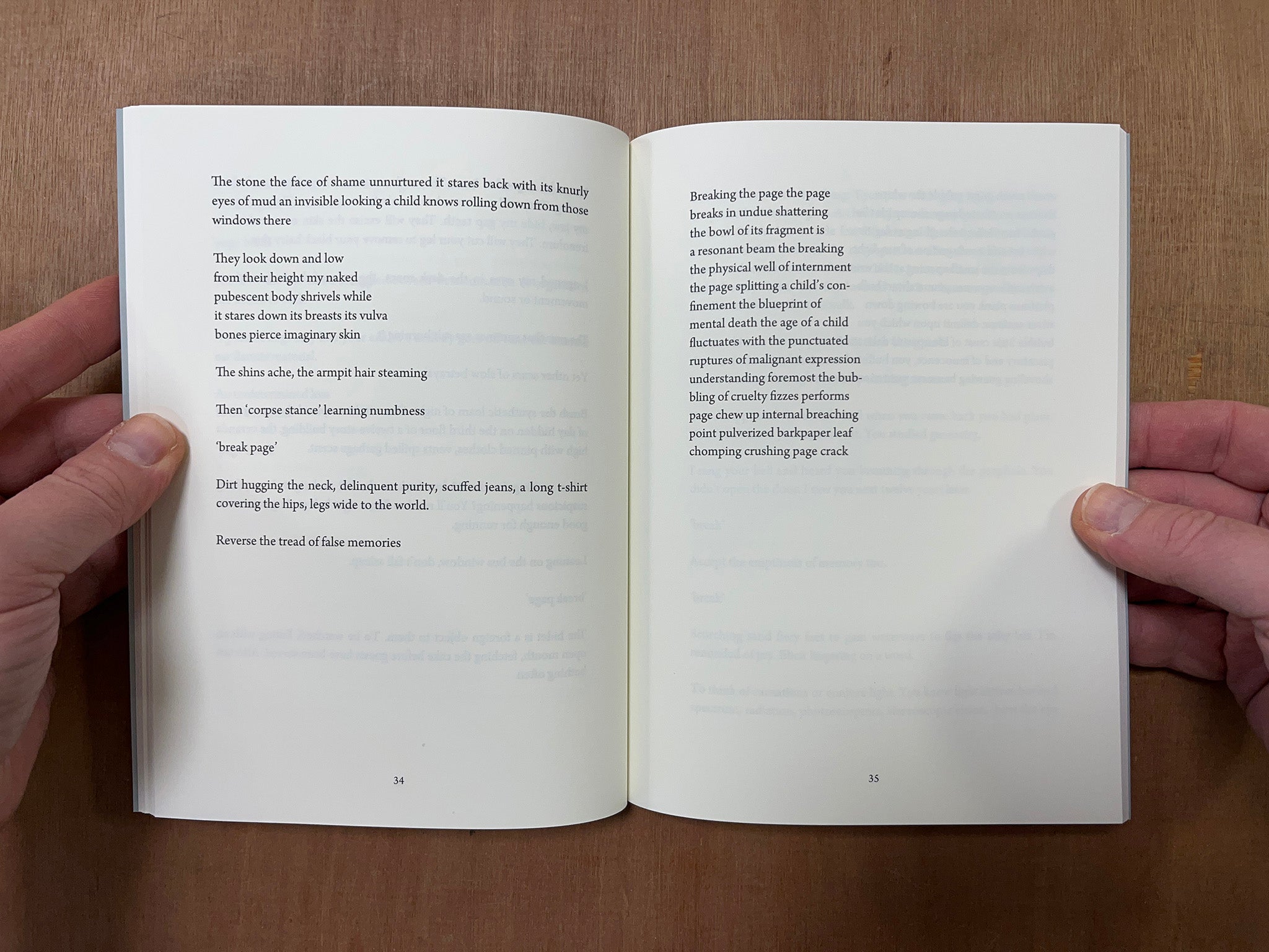 THE OPTOGRAM OF THE MIND IS A CARNATION by Isabel Sobral Campos