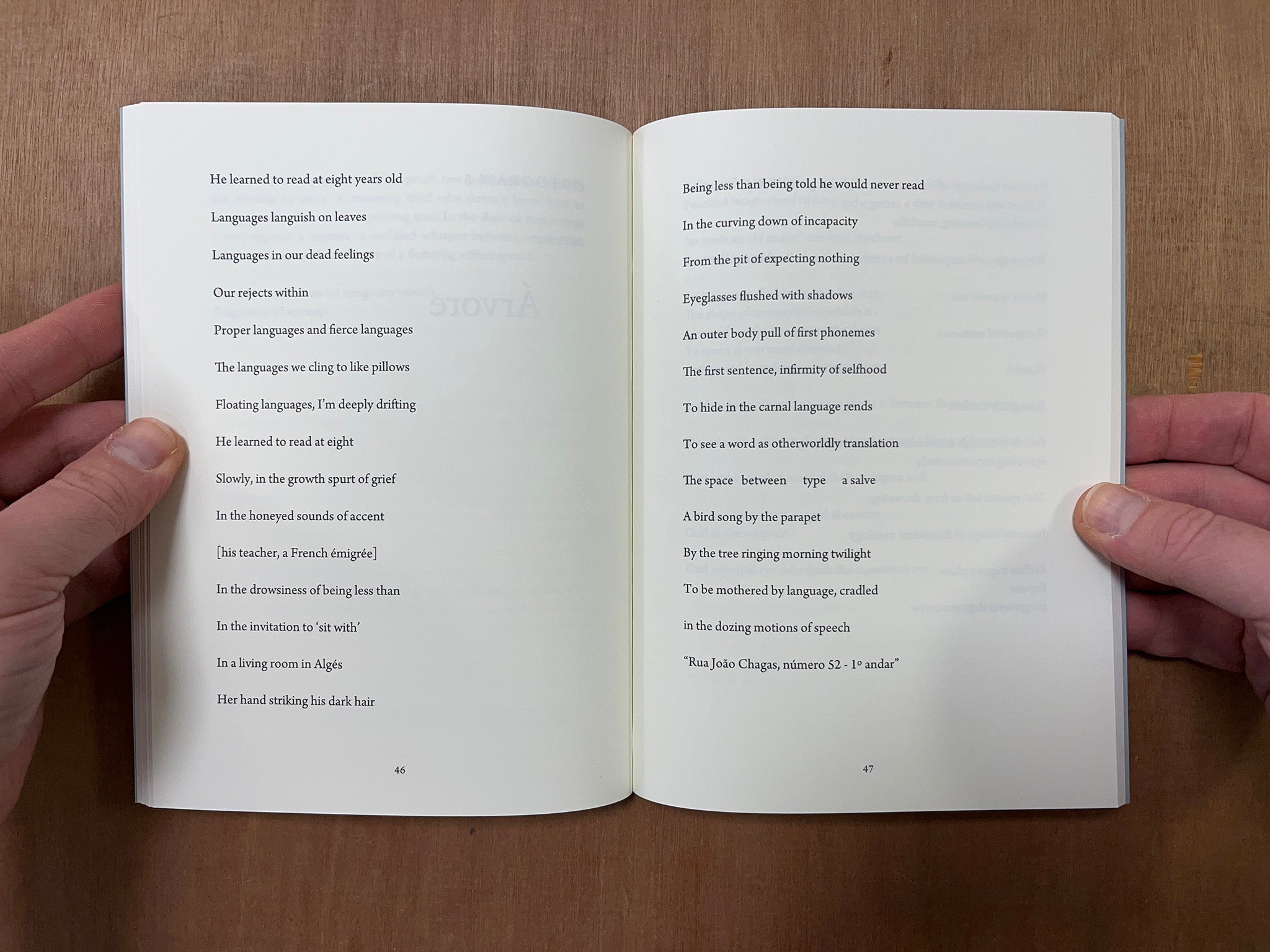 THE OPTOGRAM OF THE MIND IS A CARNATION by Isabel Sobral Campos