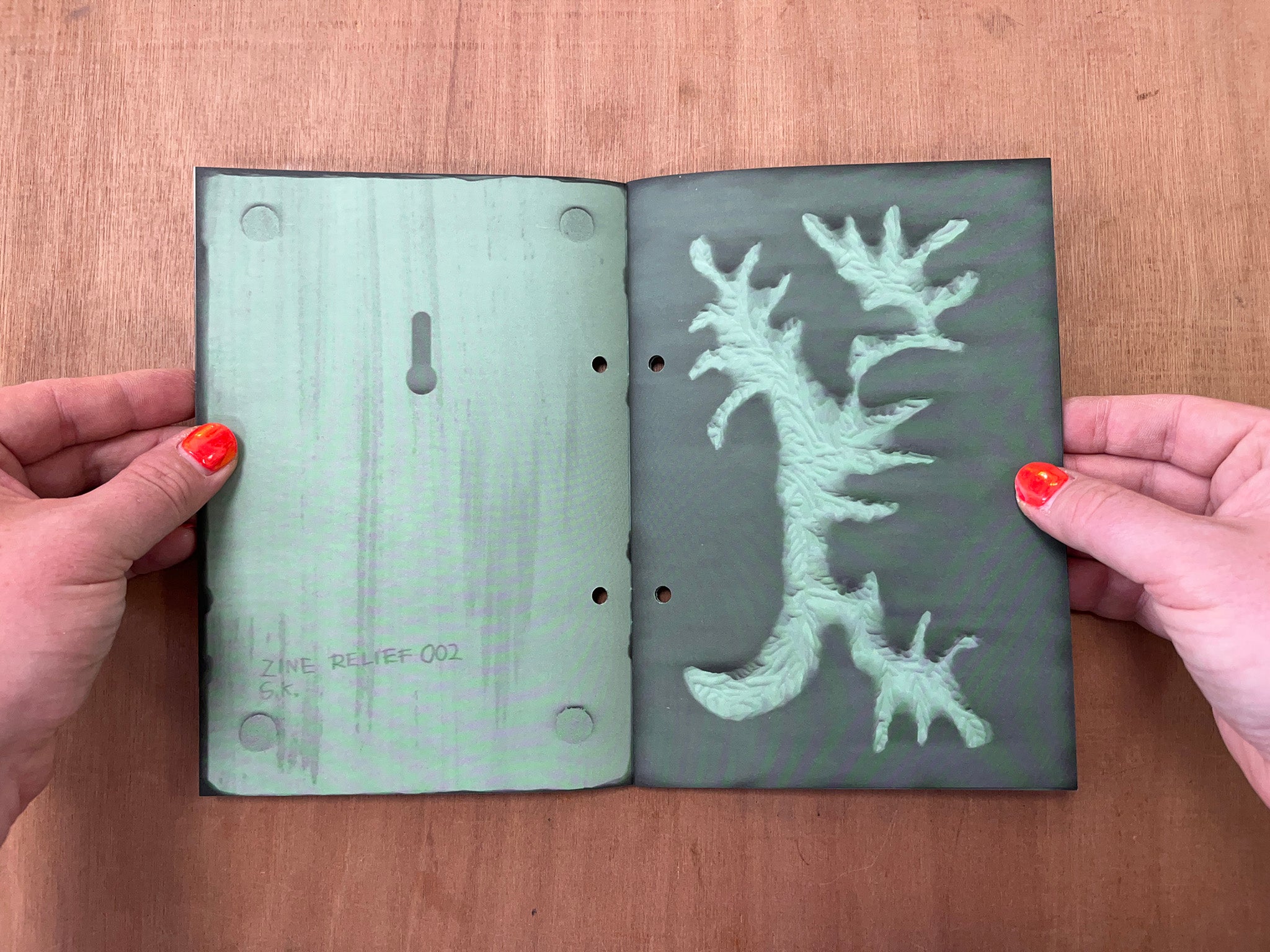 ZINE RELIEF by Sigve Knutson