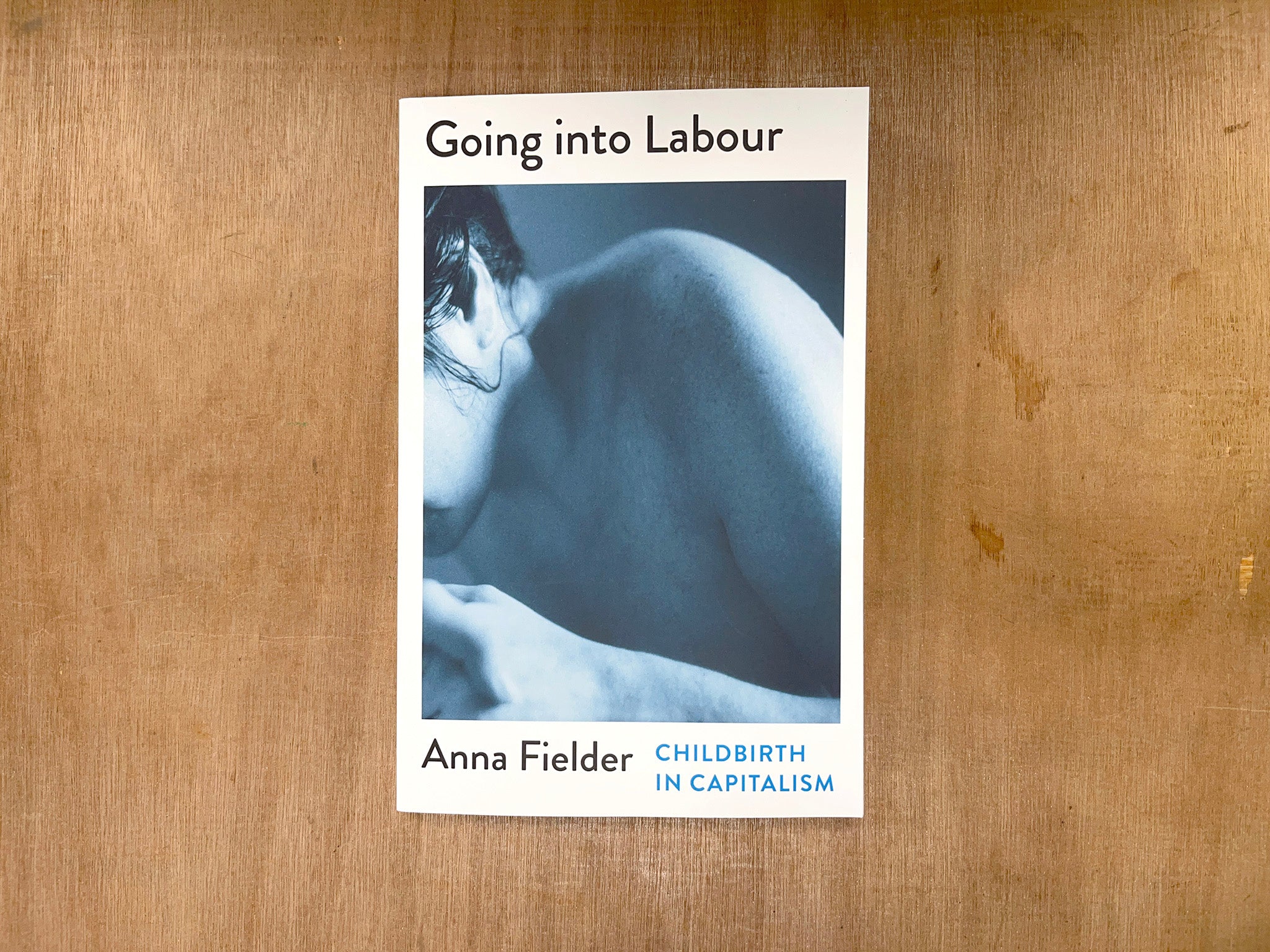 GOING INTO LABOUR: CHILDBIRTH IN CAPITALISM by Anna Fielder