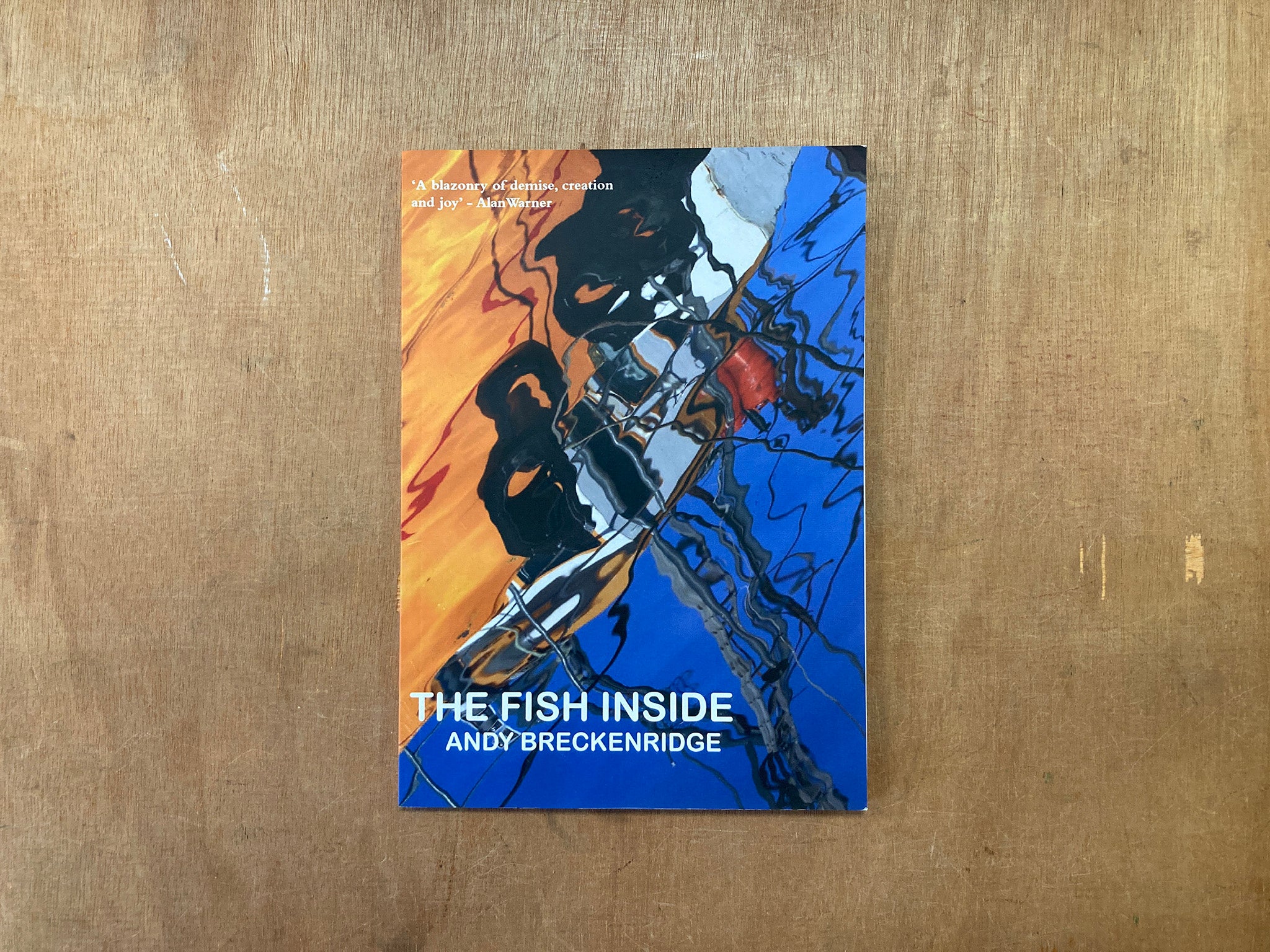 THE FISH INSIDE by Andy Breckenridge