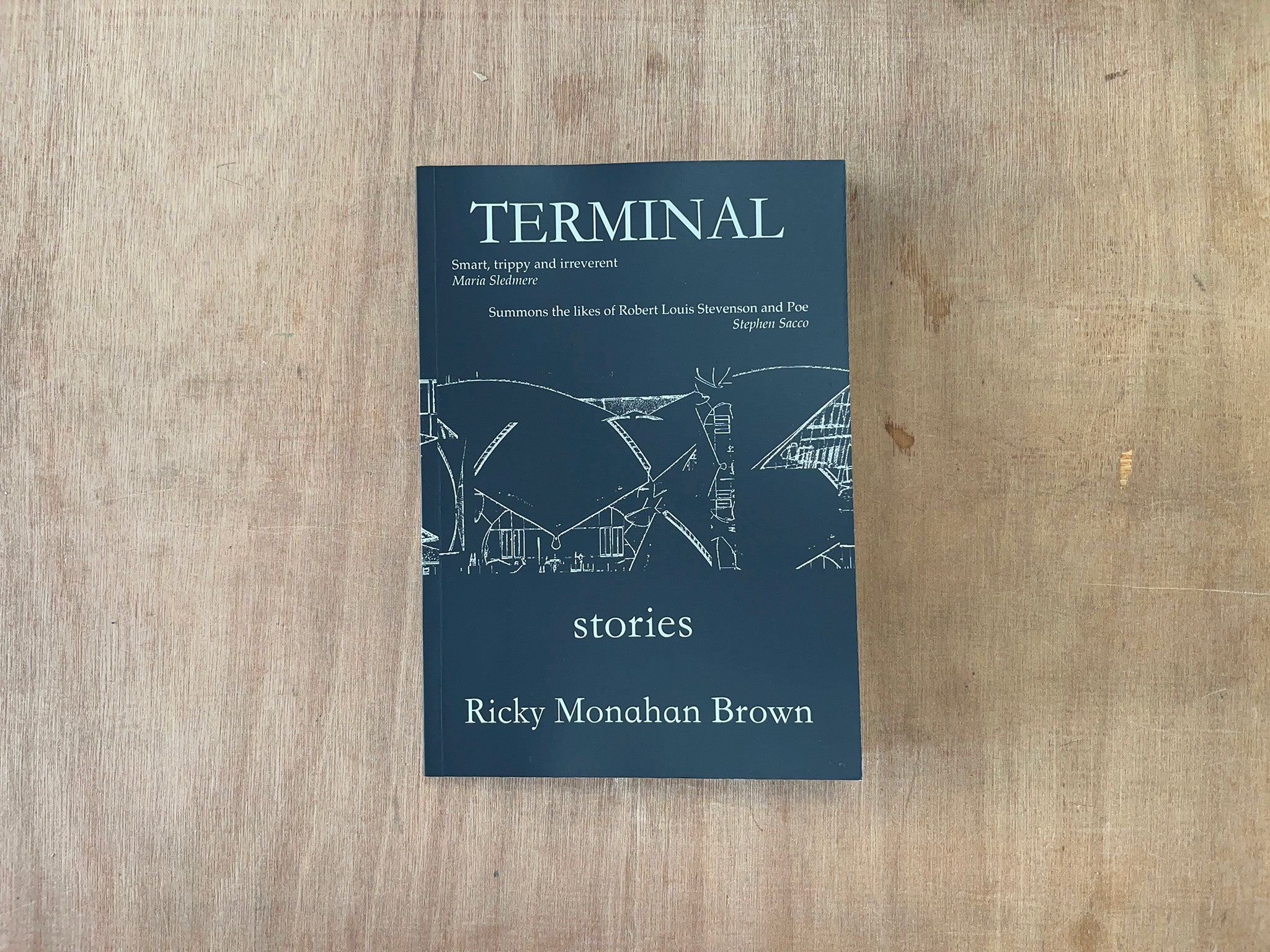 TERMINAL by Ricky Monahan Brown