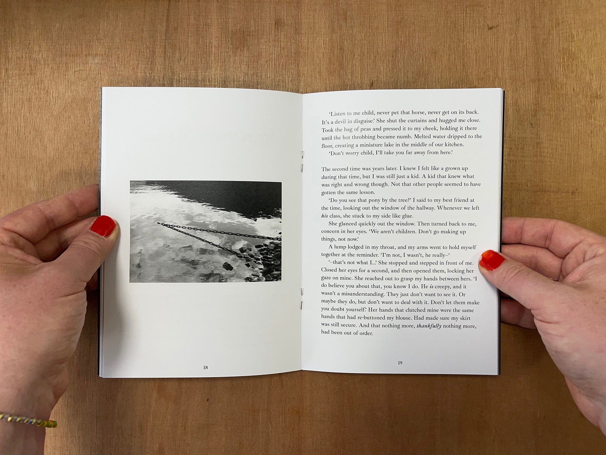 THE HUNT FOR A HAGGIS by Ethan McOustra & Claire Wallace