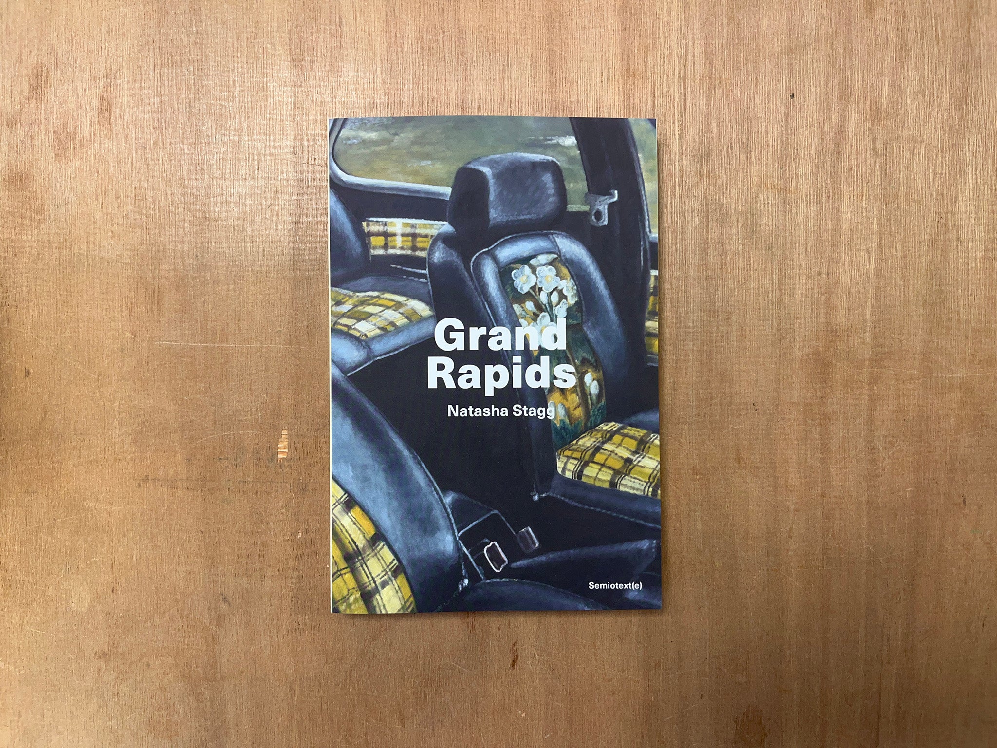 GRAND RAPIDS by Natasha Stagg