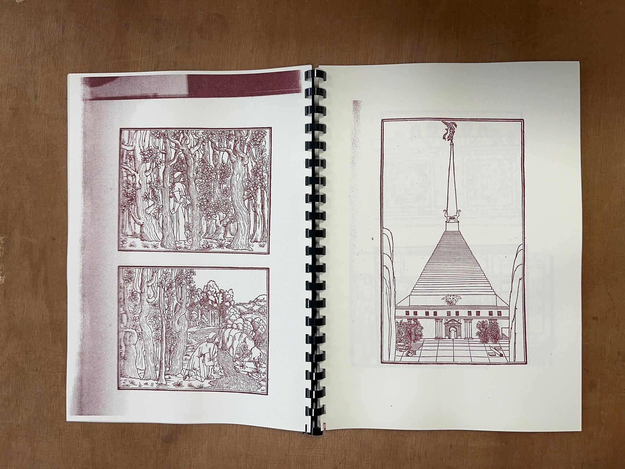 HYPNEROTOMACHIA POLIPHILI — OR, “POLIPHILO’S STRIFE OF LOVE IN A DREAM” THE COLOURING BOOK by Aldus Manutius & Erin Honeycutt